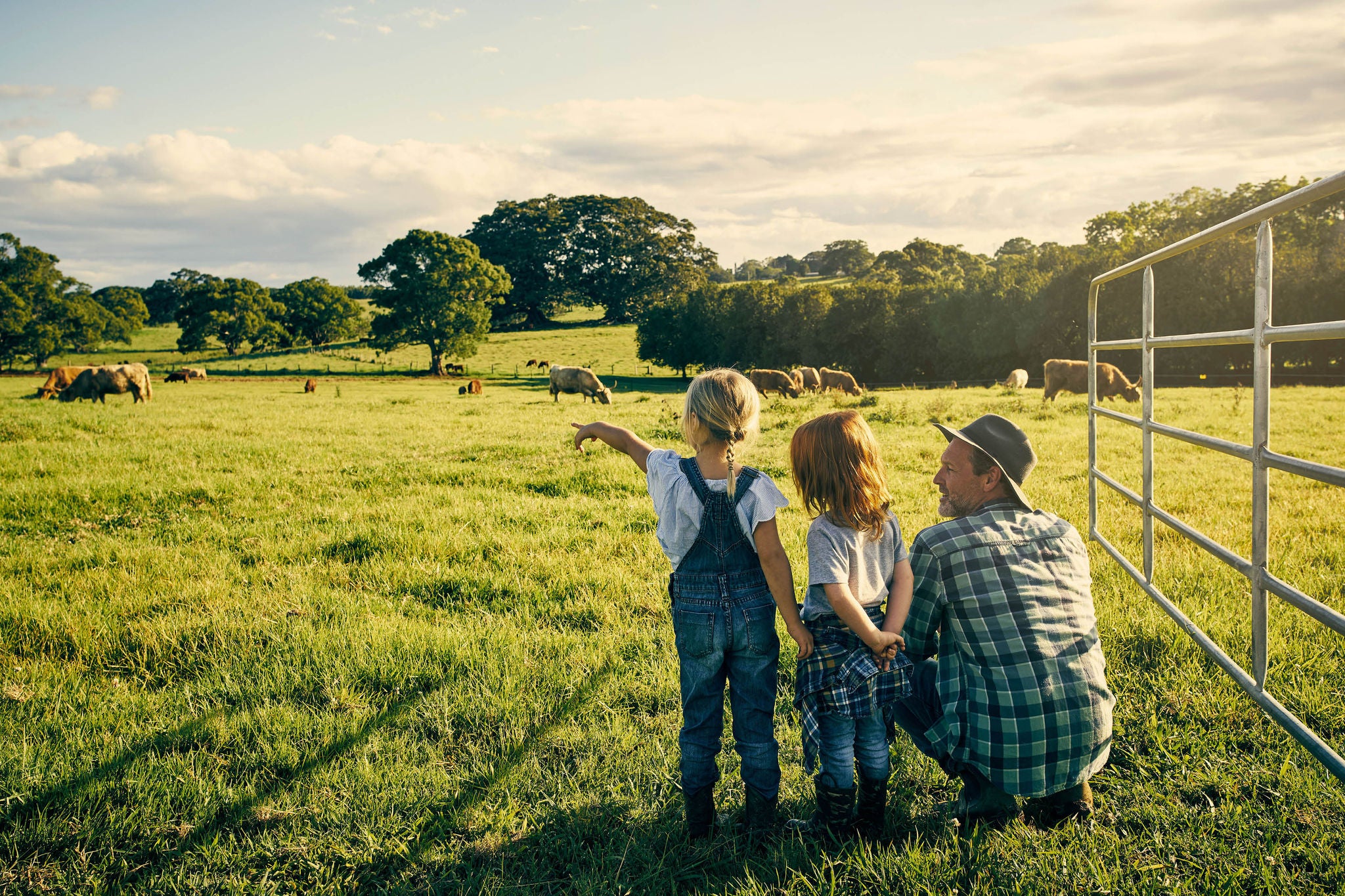 A person and two children overlooking grazing cattle in a rural farming landscape