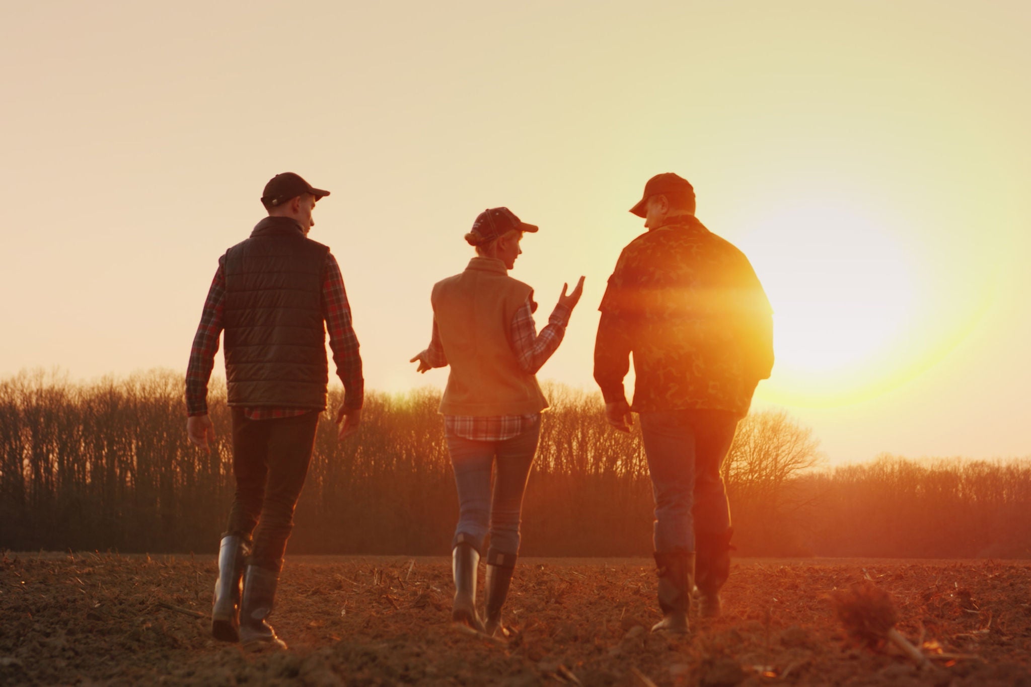 Drie mensen lopen samen over een veld bij zonsondergang