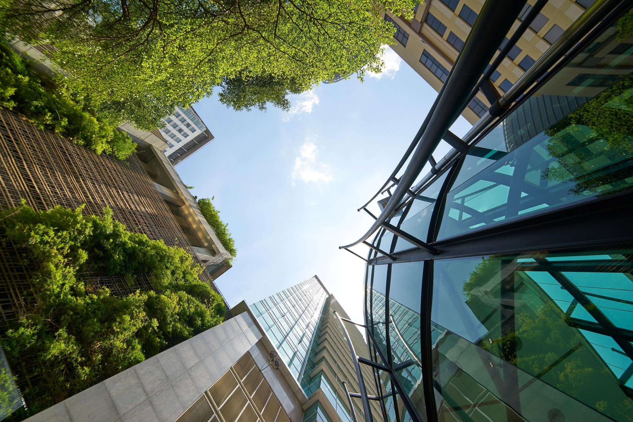 Modern glass buildings and green with clear sky