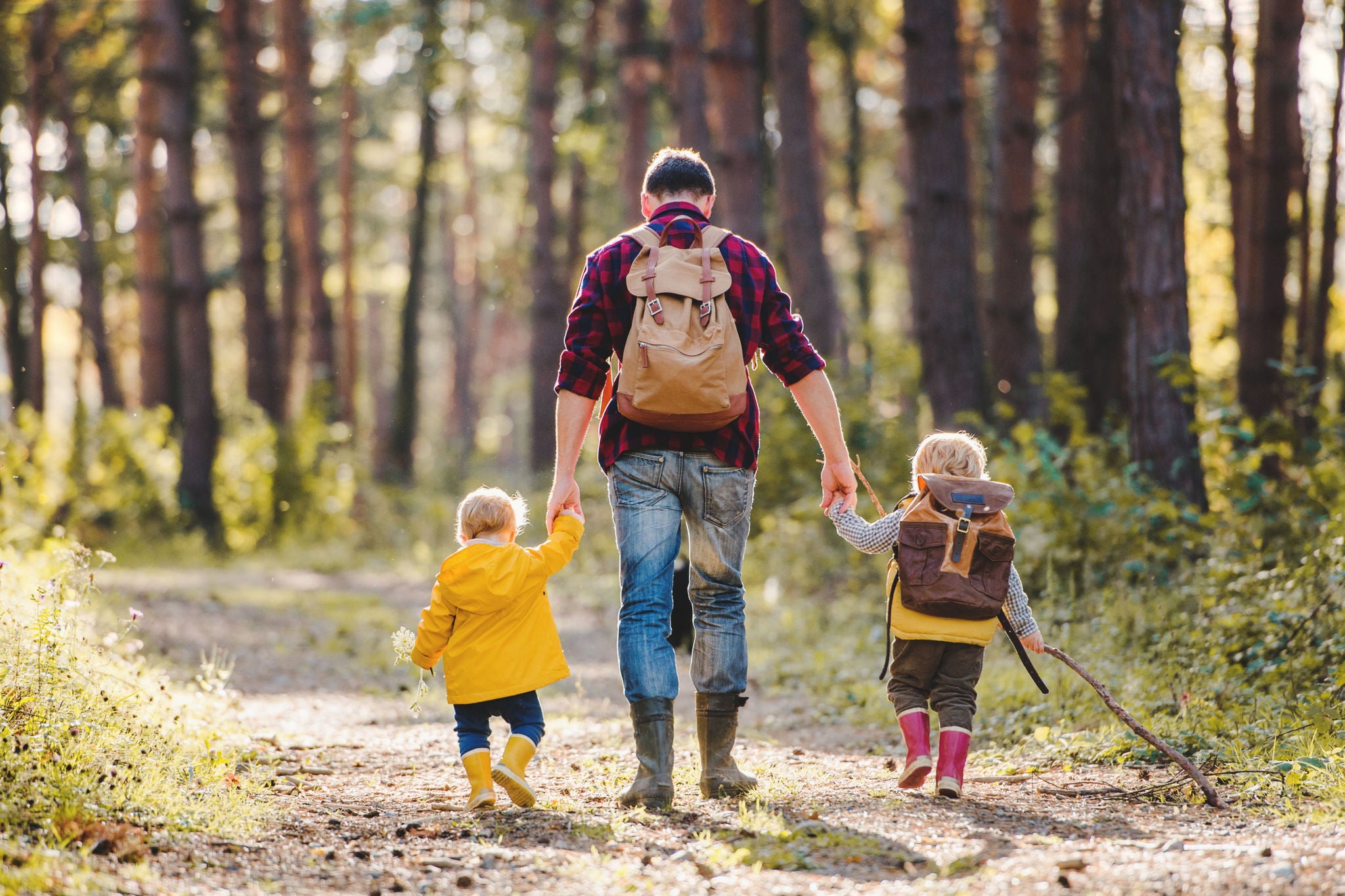 Person mit zwei Kindern auf einem Waldweg. Natürliches Outdoor-Motiv mit warmem Sonnenlicht.