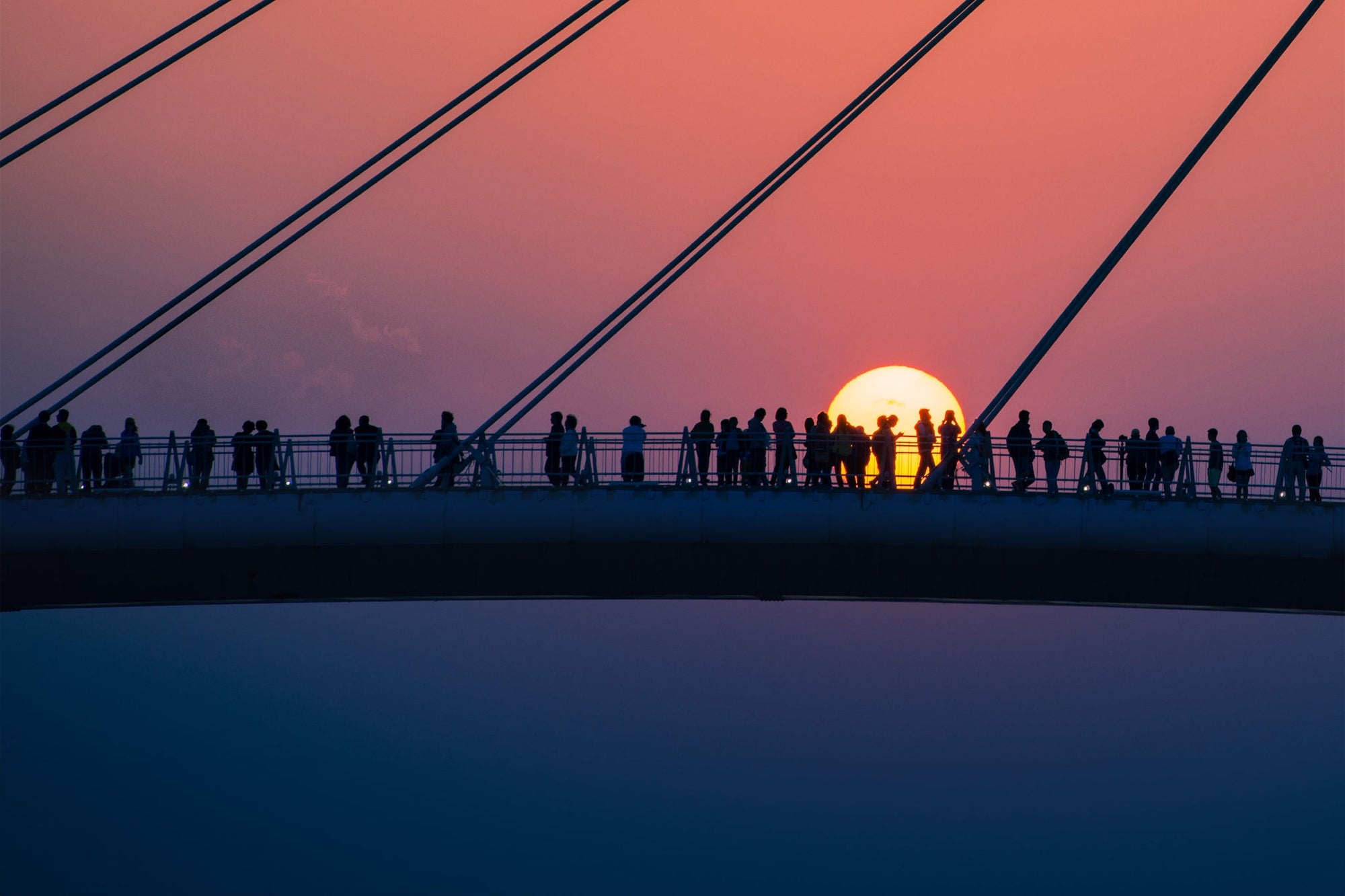 Forensic and Integrity Services | EY - Global