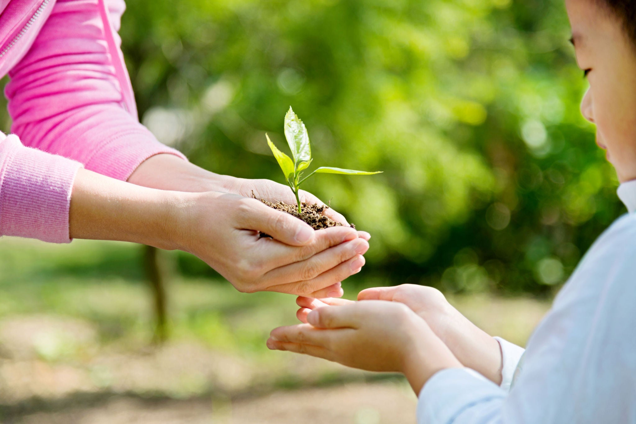 Mother and son holding new plant
