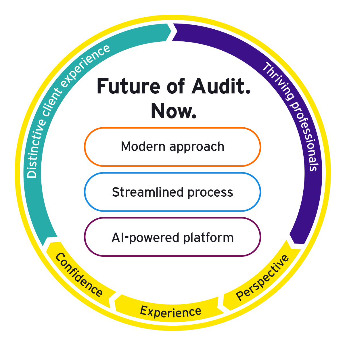 Future of audit now