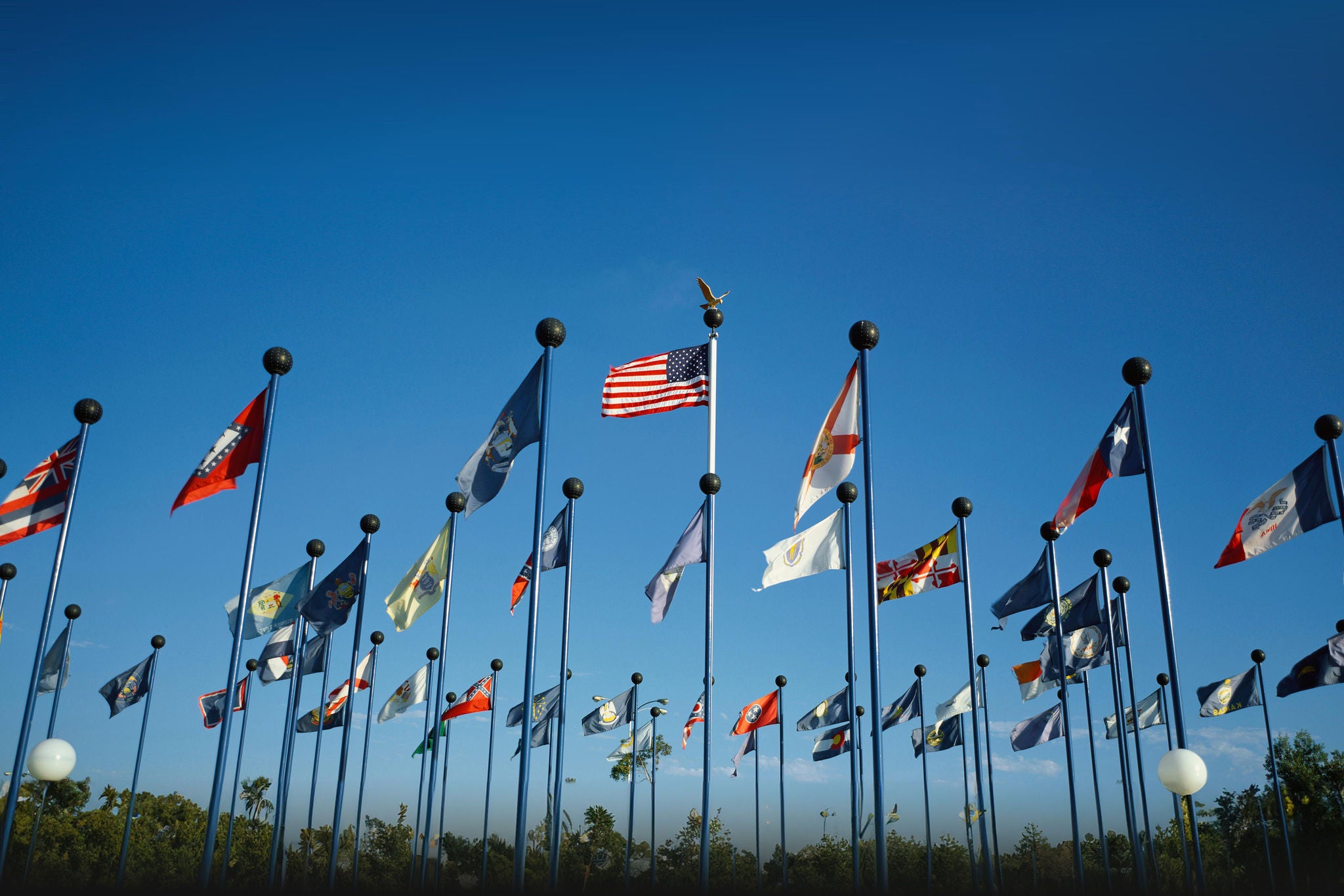 50 state flags wave on evenly spaced flagpoles under a blue sky, with the US flag centered at SeaWorld.