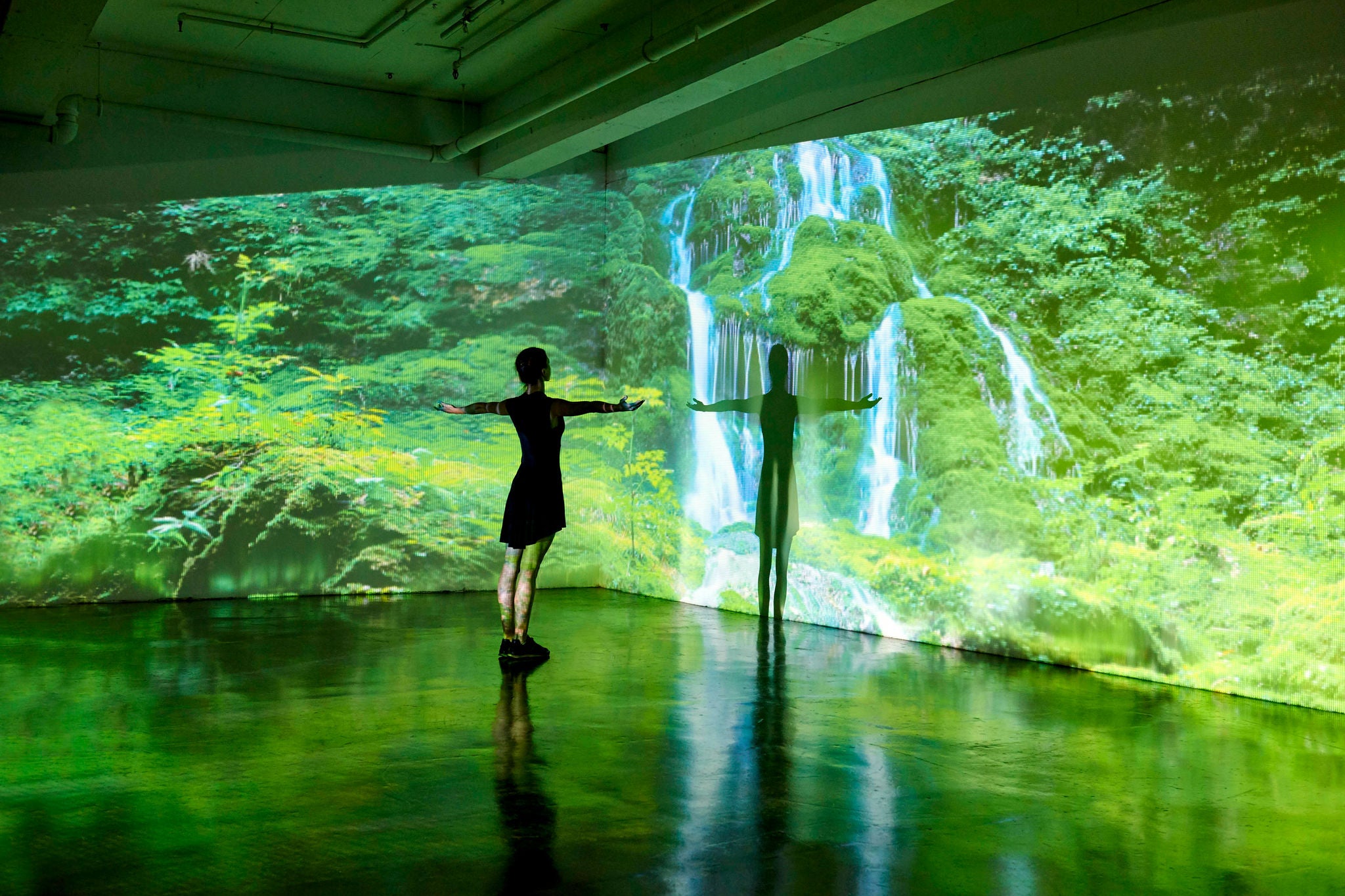 Girl looking at a nature landscape being projected onto the wall in a gallery space