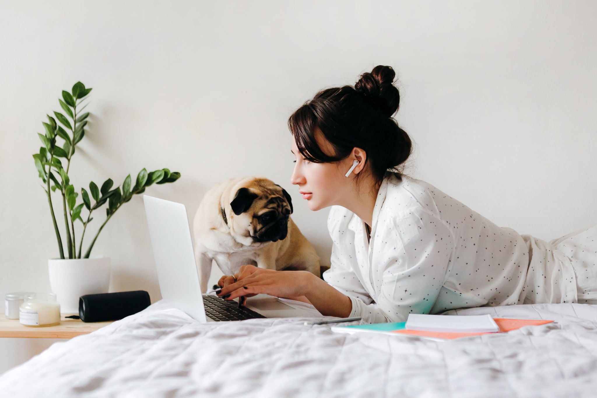 Remote work with a furry coworker