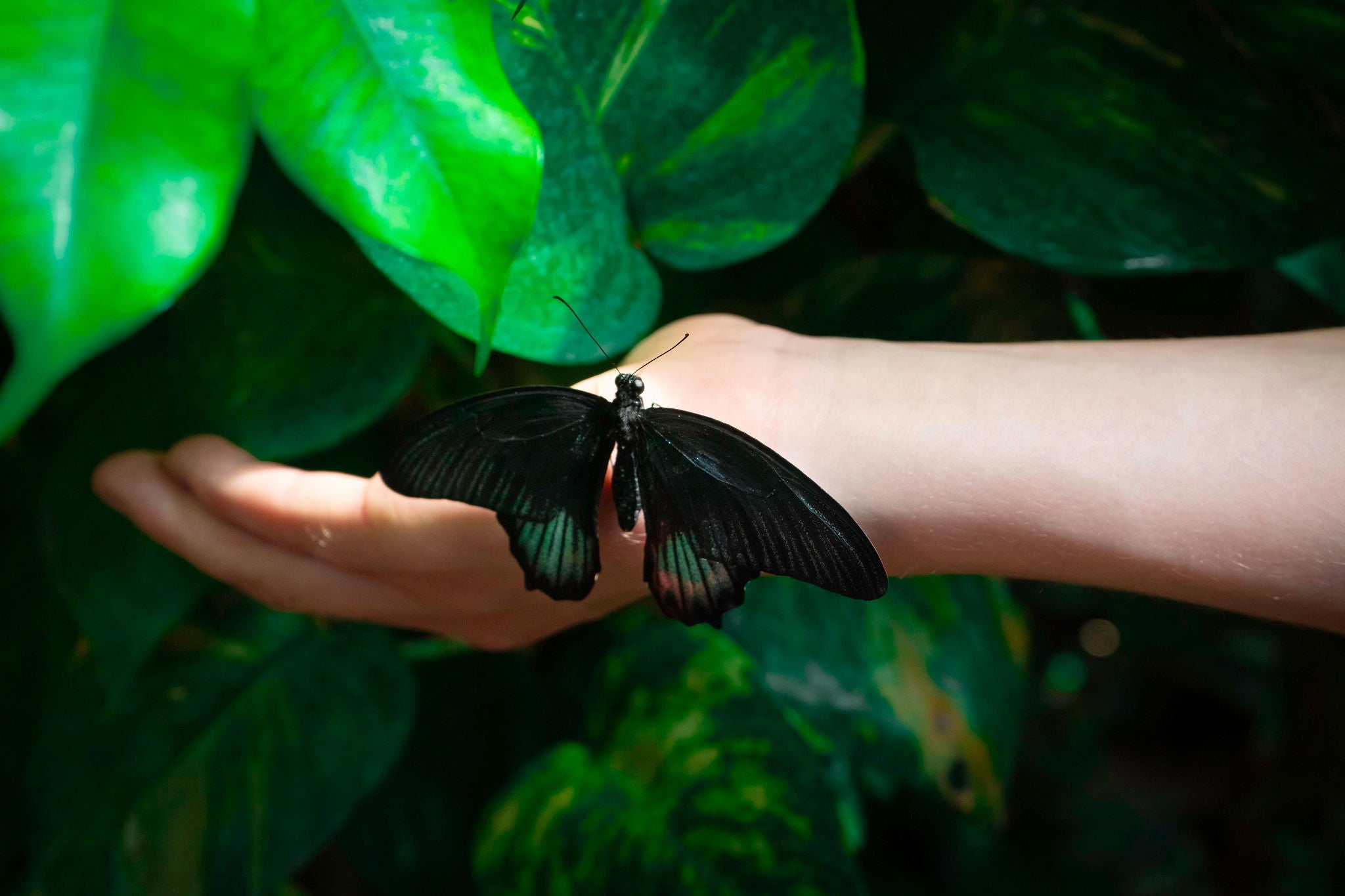 サーキュラーエコノミーの新指標 GCP v1.0が企業にもたらす3つの効果（実務編）