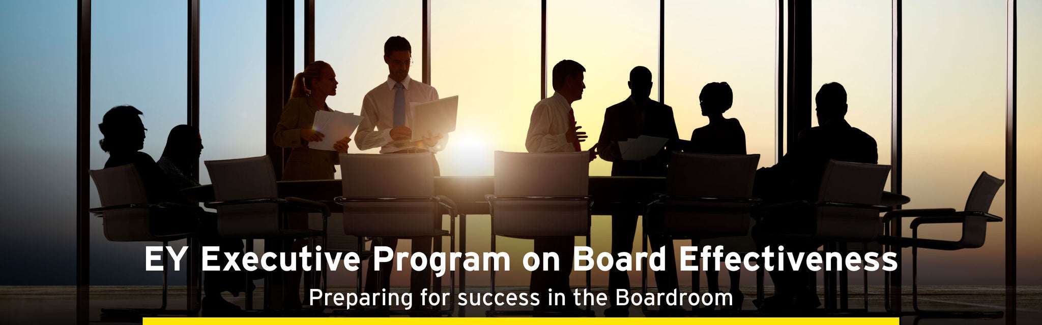 EY executive program on board effectiveness 