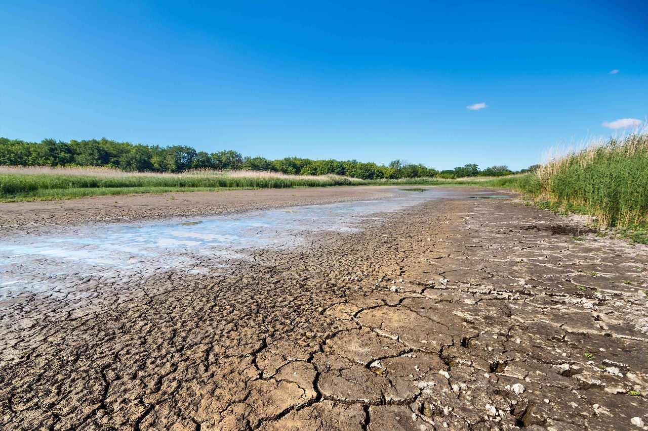 Österreich erwartet mehr Klimaschutz: Politik bleibt Hauptverantwortliche, doch Druck auf Unternehmen wächst