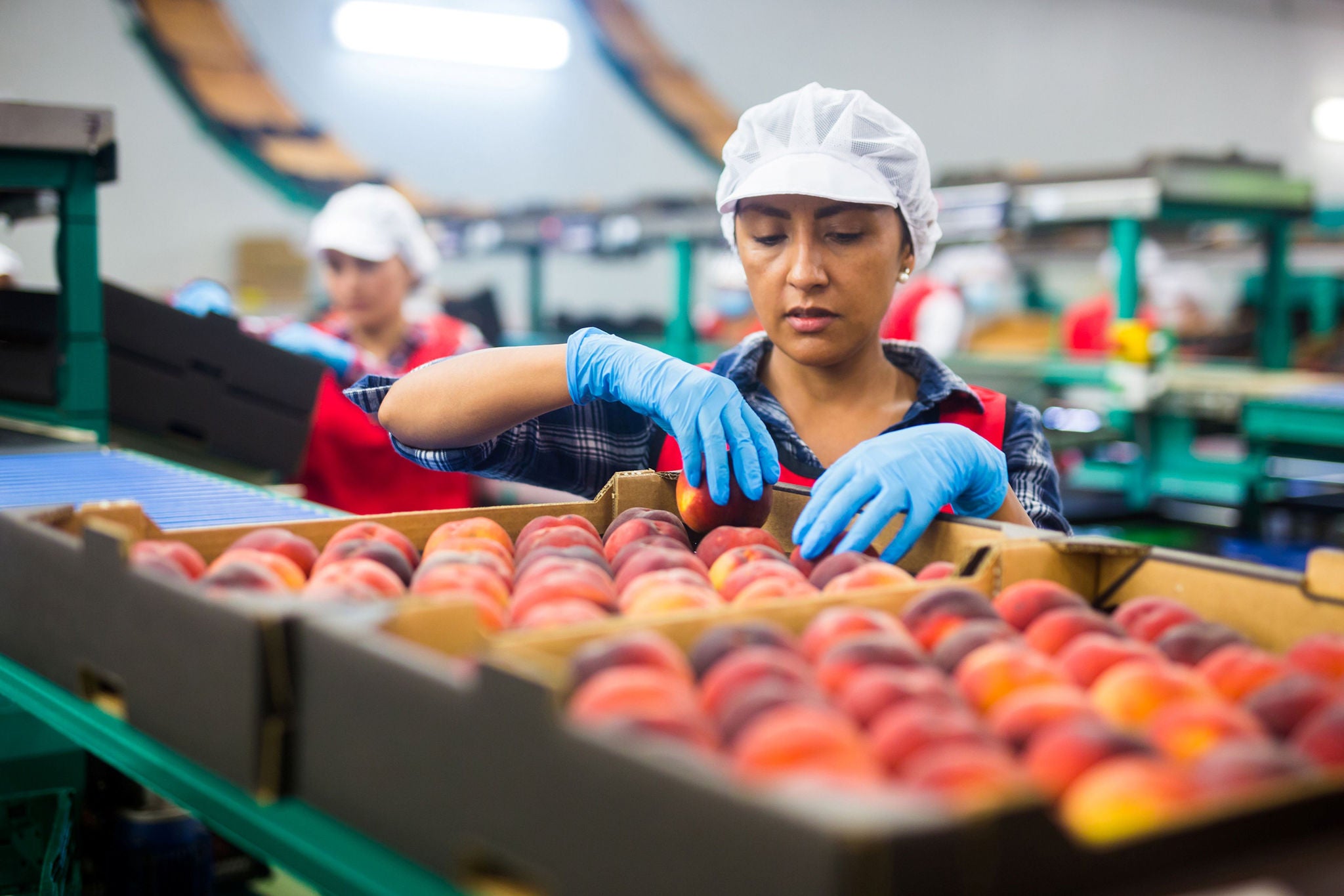 Food safety controls