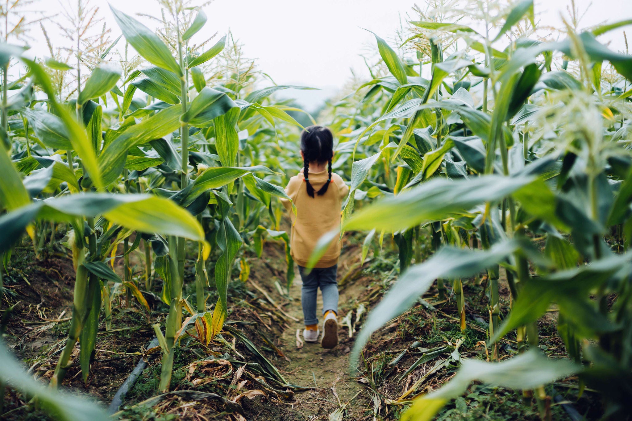 She is experiencing agriculture in an organic farm and learning to respect the Mother Nature