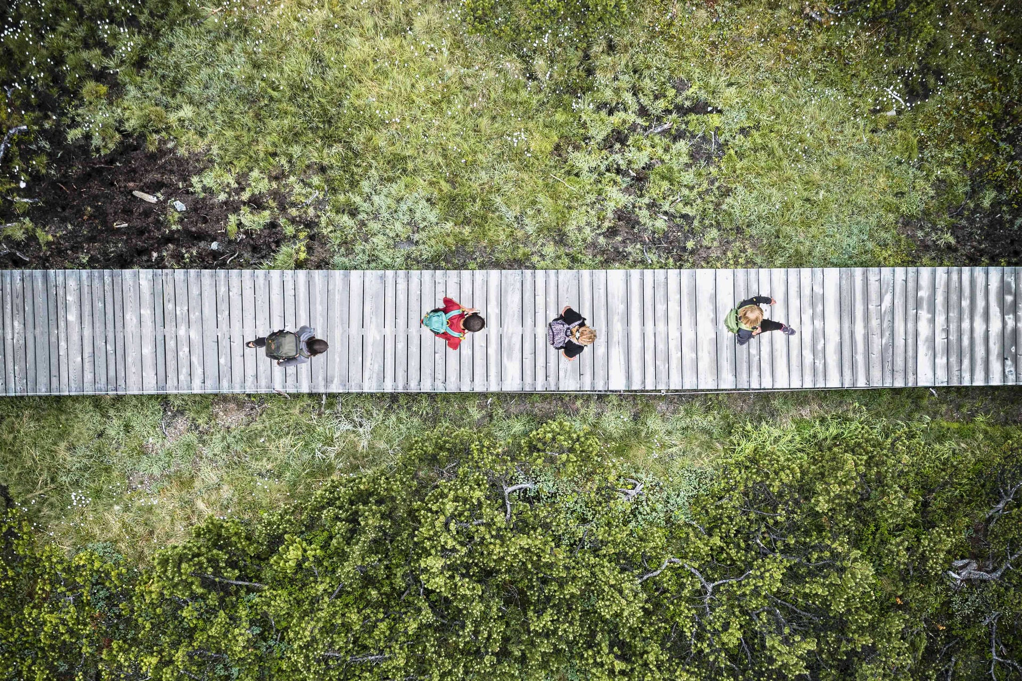 Aerial drone view of people hiking in the Biotopo Monte Covolo-Nemes protected nature park in summer, Sesto, South Tyrol, Italy