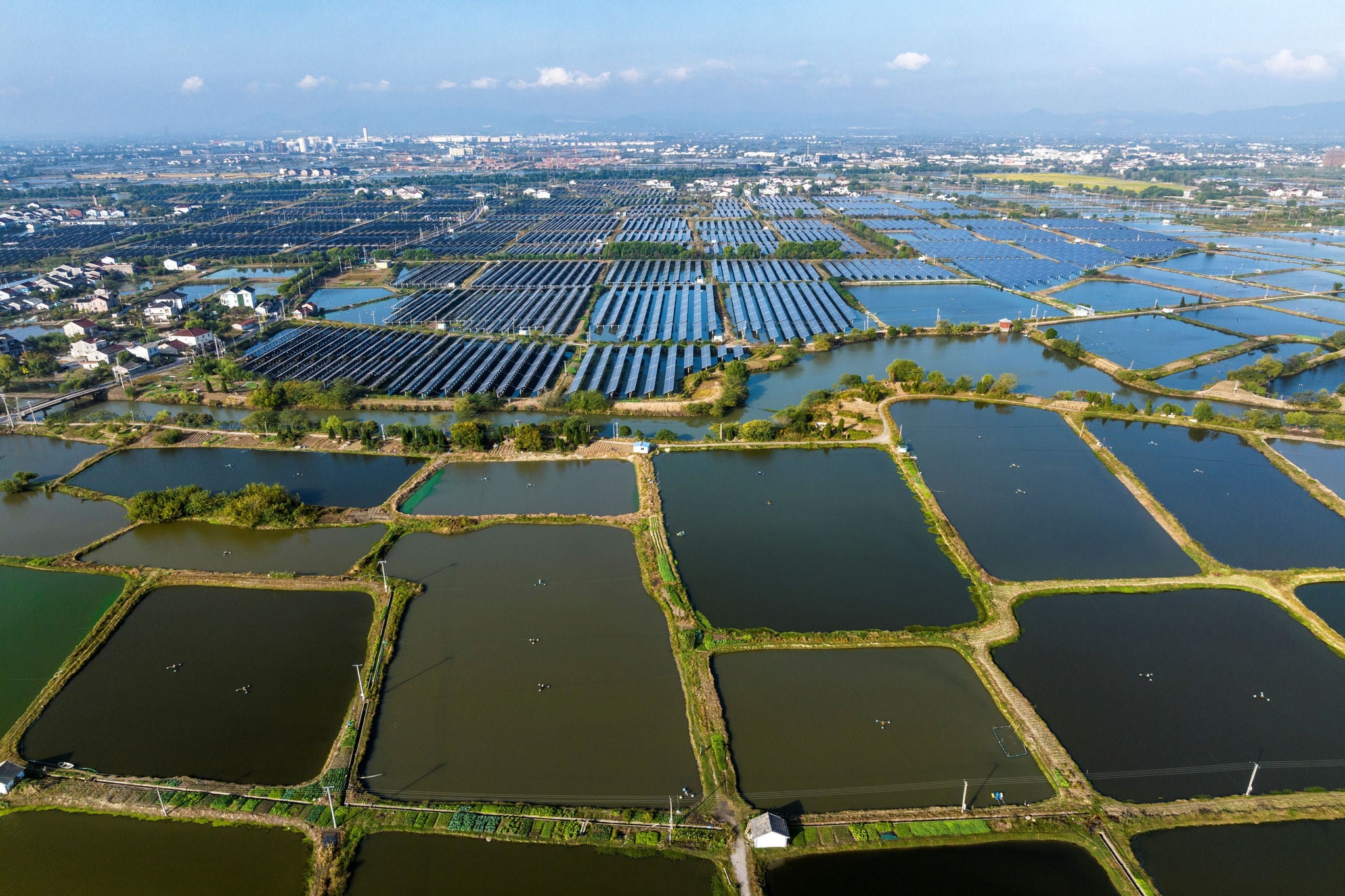 India’s energy balancing act