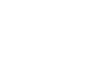 Strong & Hanni logo
