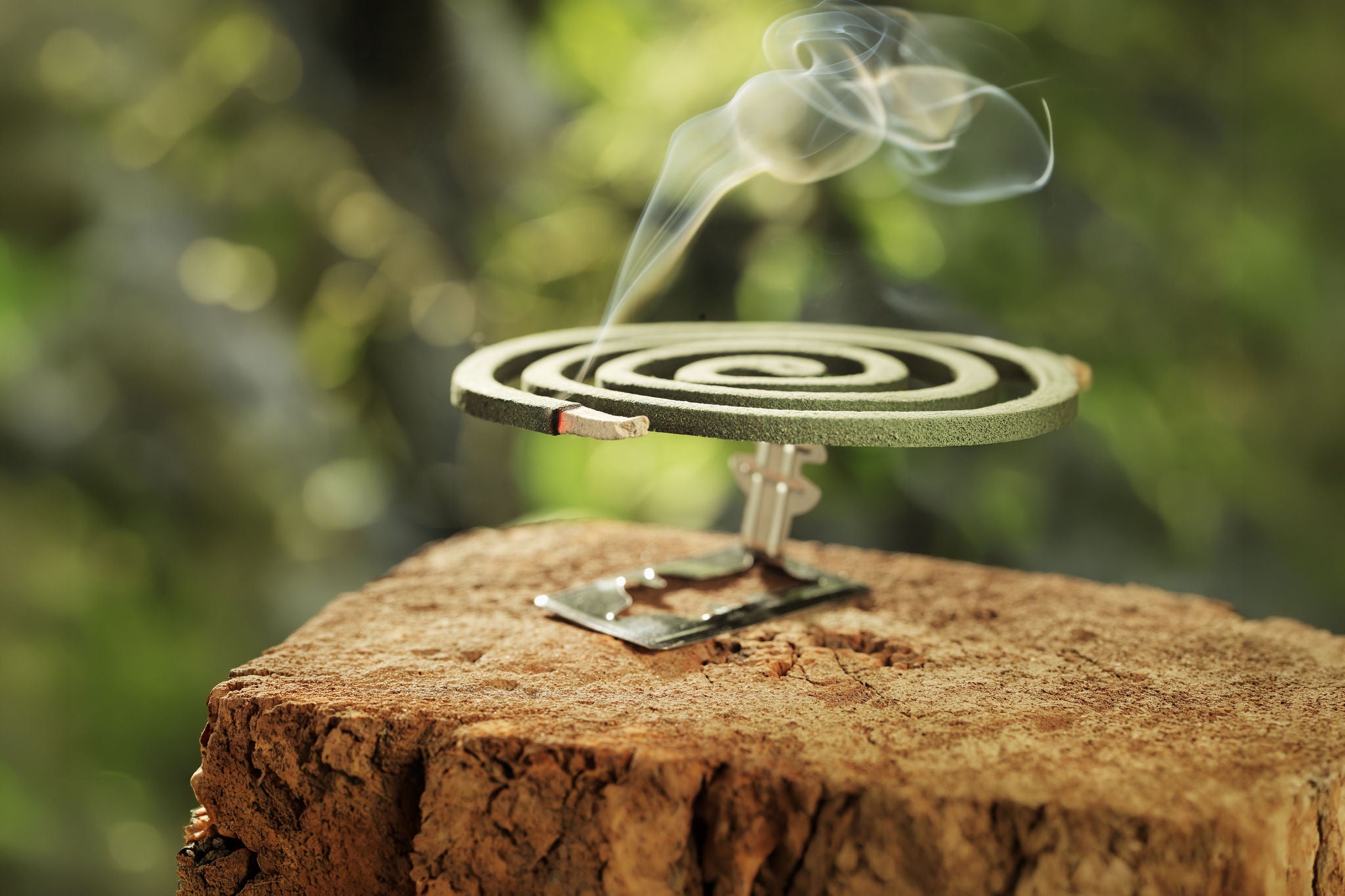 GST Reform for Vector‑Borne Disease Prevention