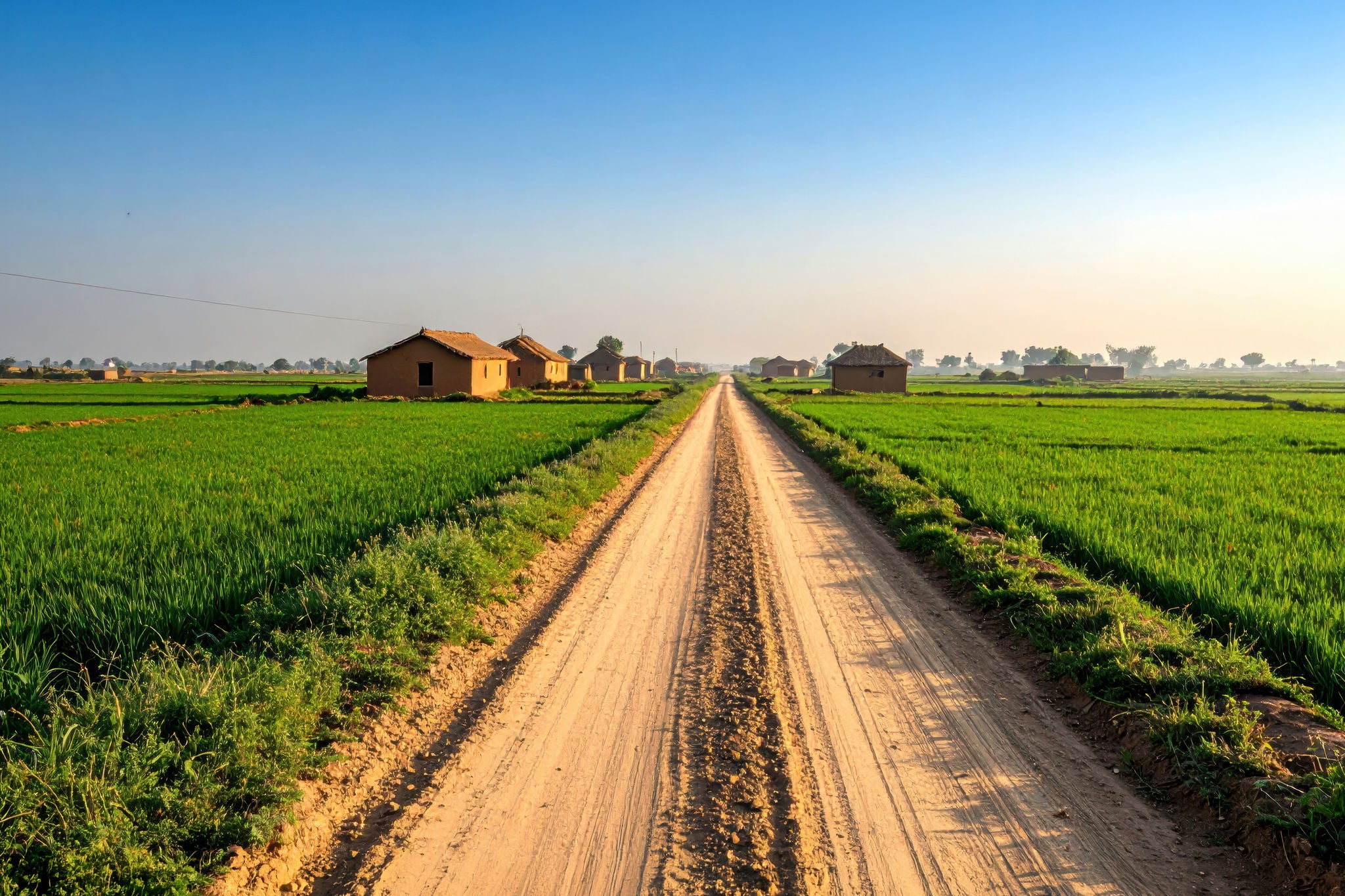 Man working on laptop while sitting in kitchen at home