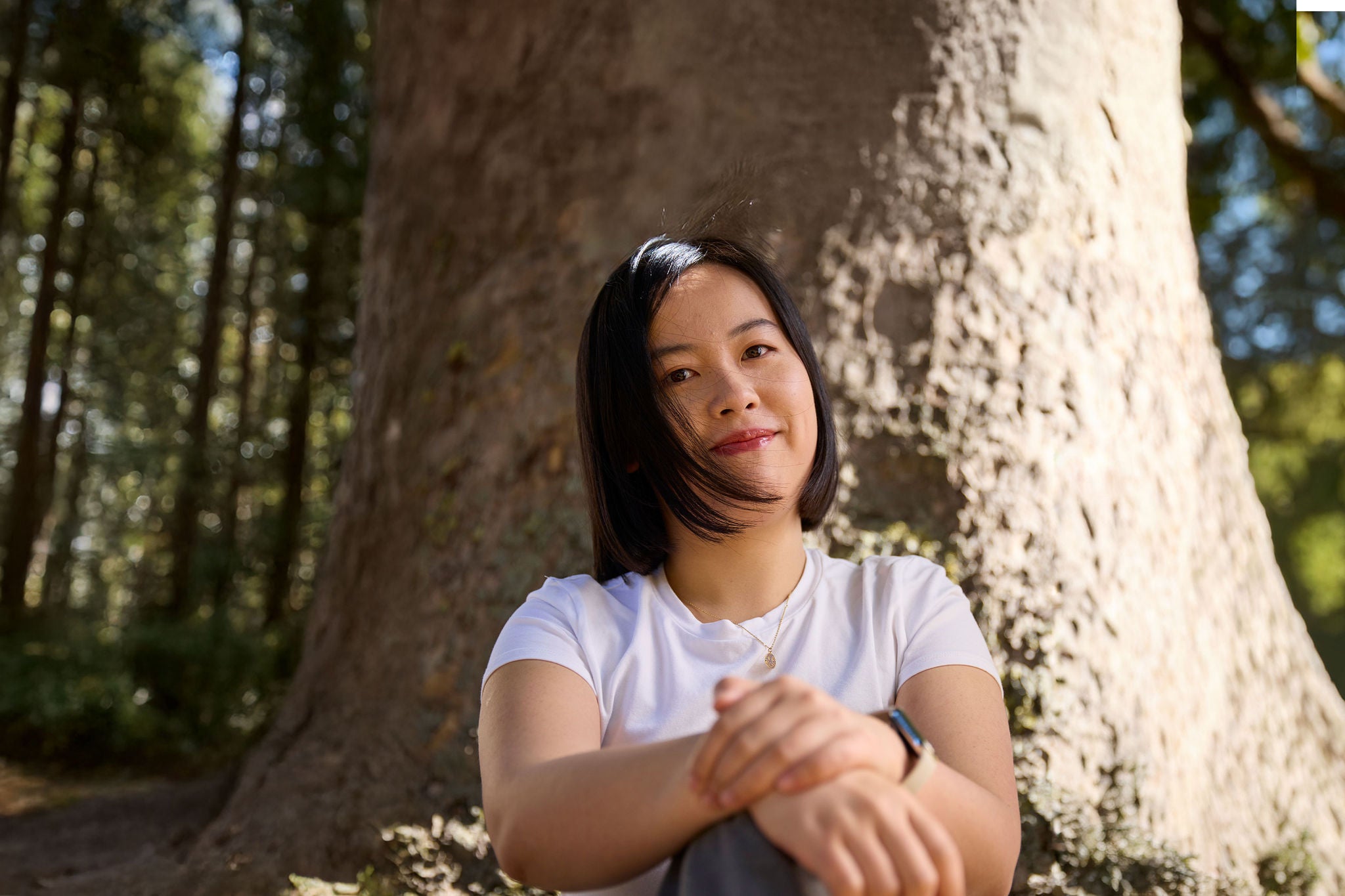 Person sitting in front of a tree