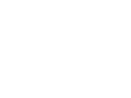 Big Picture logo