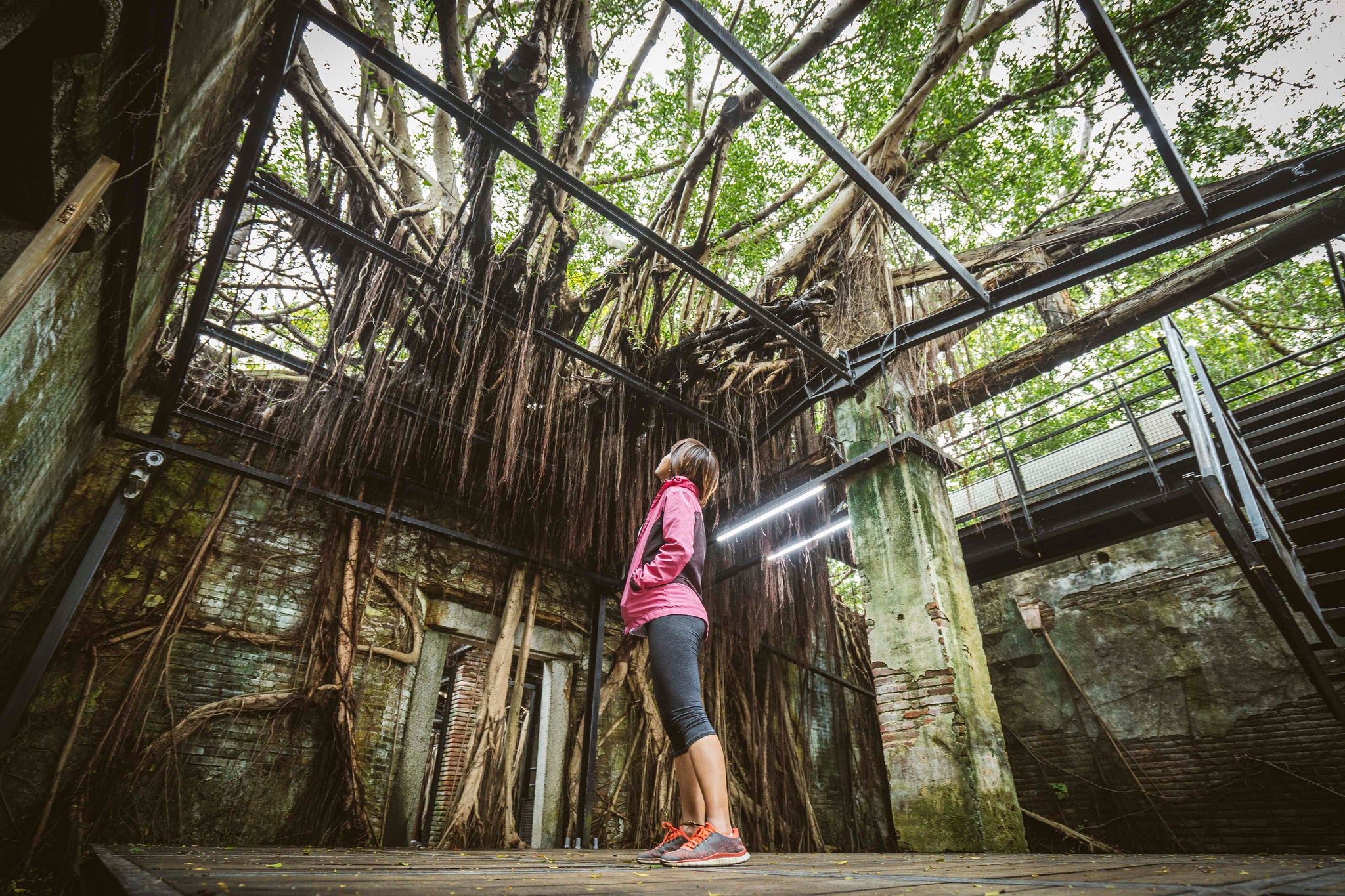 Young girl standing inside abandoned house covered with banyan roots and branches