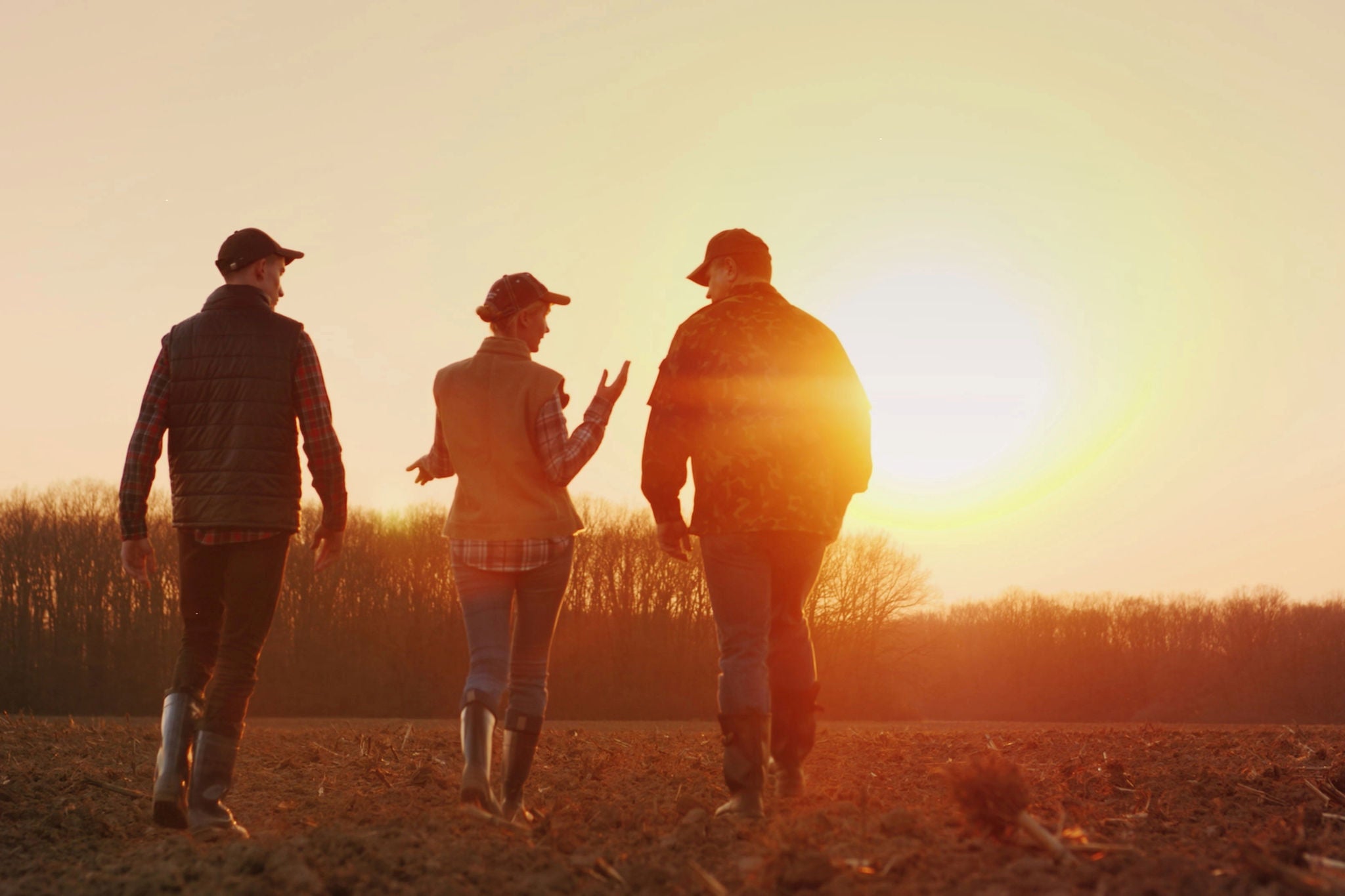 Three people walking through farmland