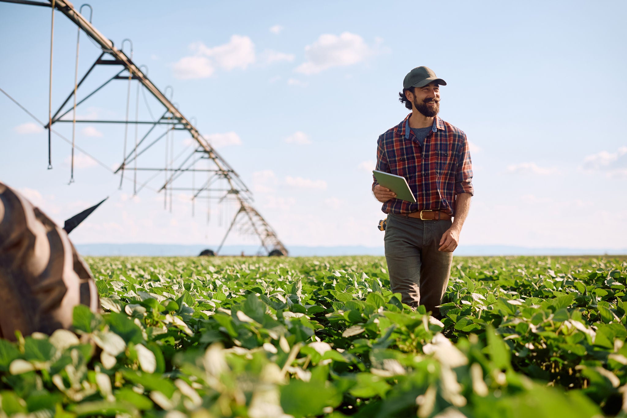 homem olhando uma plantação