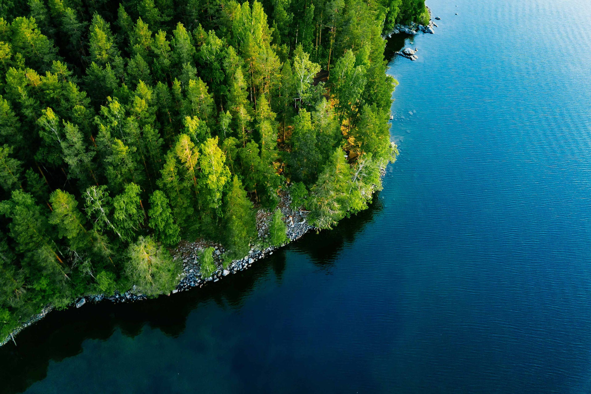 Aerial view of blue lake with stone coast and green tree forests on a sunny summer day in Finland. 