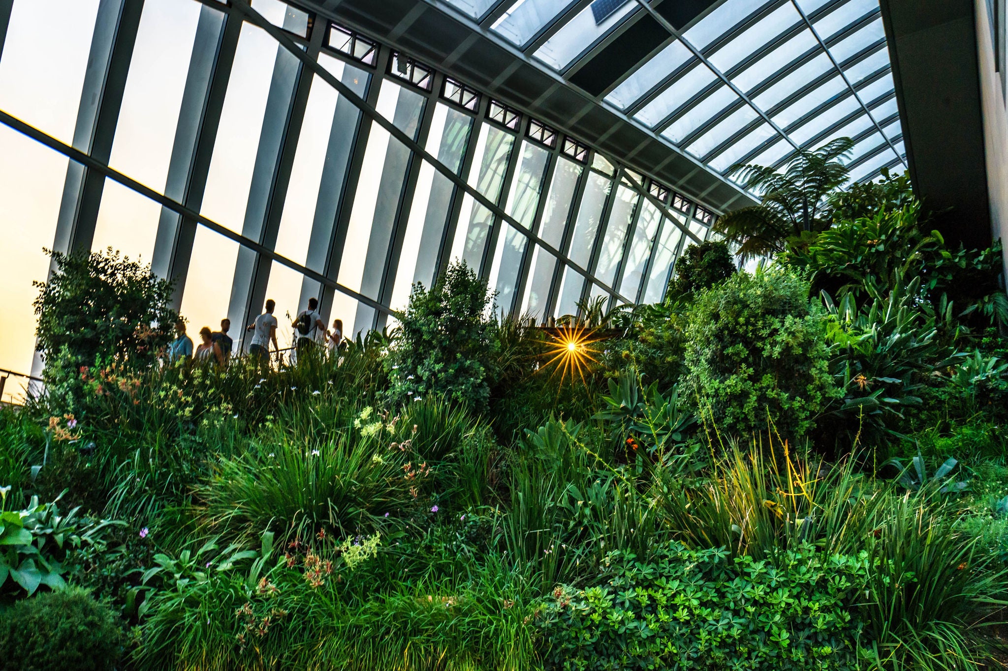 Elevated terrace with city views and planted greenery