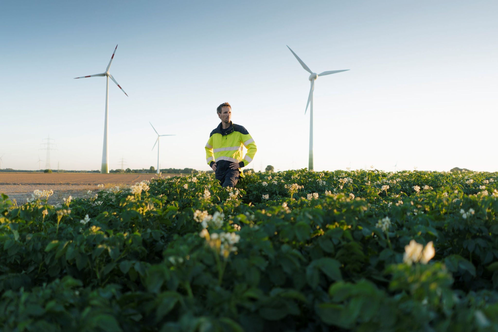 EY Polska z nagrodą Sustainable Economy Awards