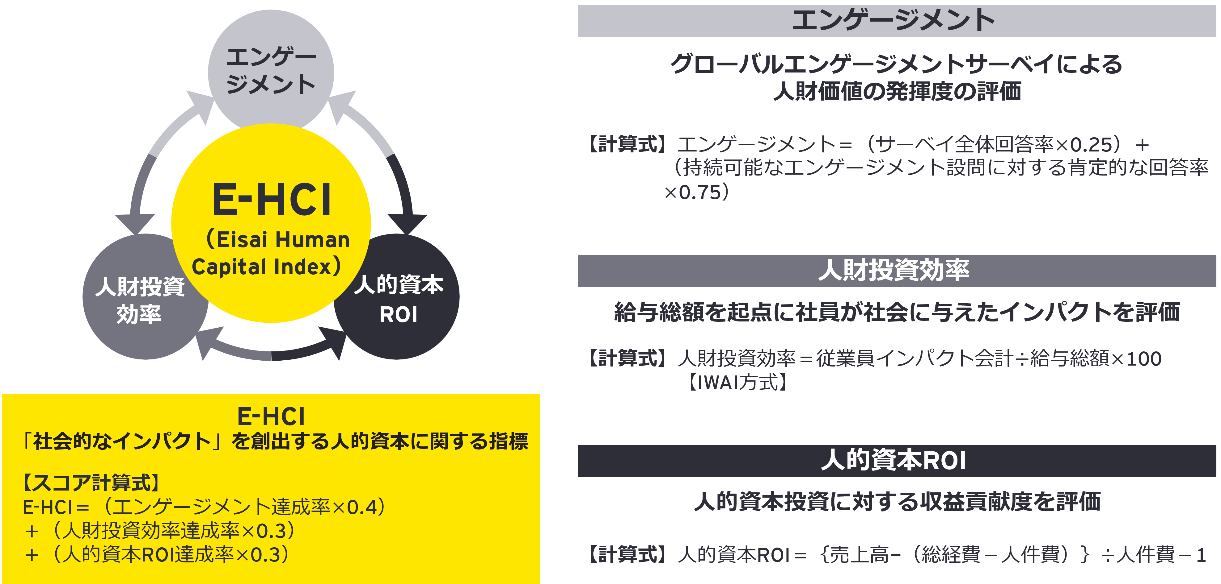 独自指標「E-HCI」で人的資本経営の総合力を評価