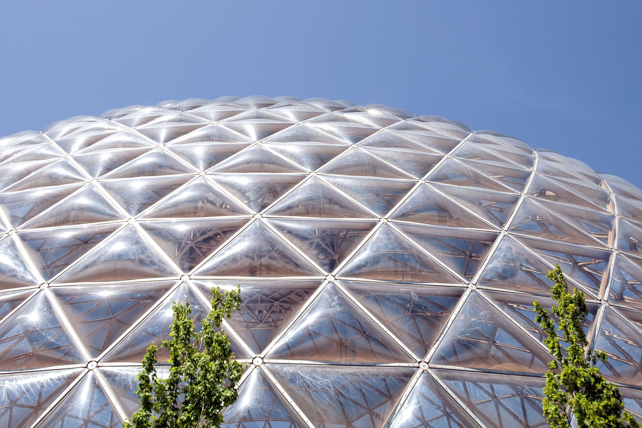 Dôme géodésique brillant sous le soleil avec des arbres au premier plan