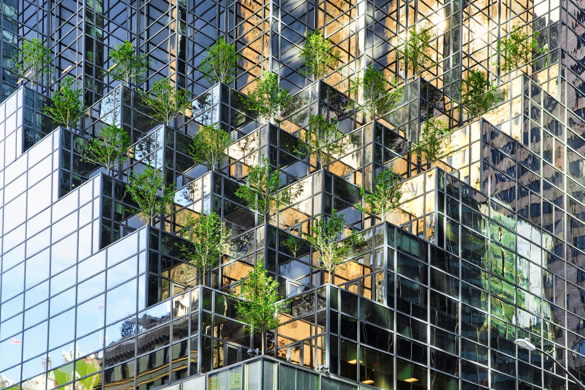 Turning climate risk into a growth engine for banks