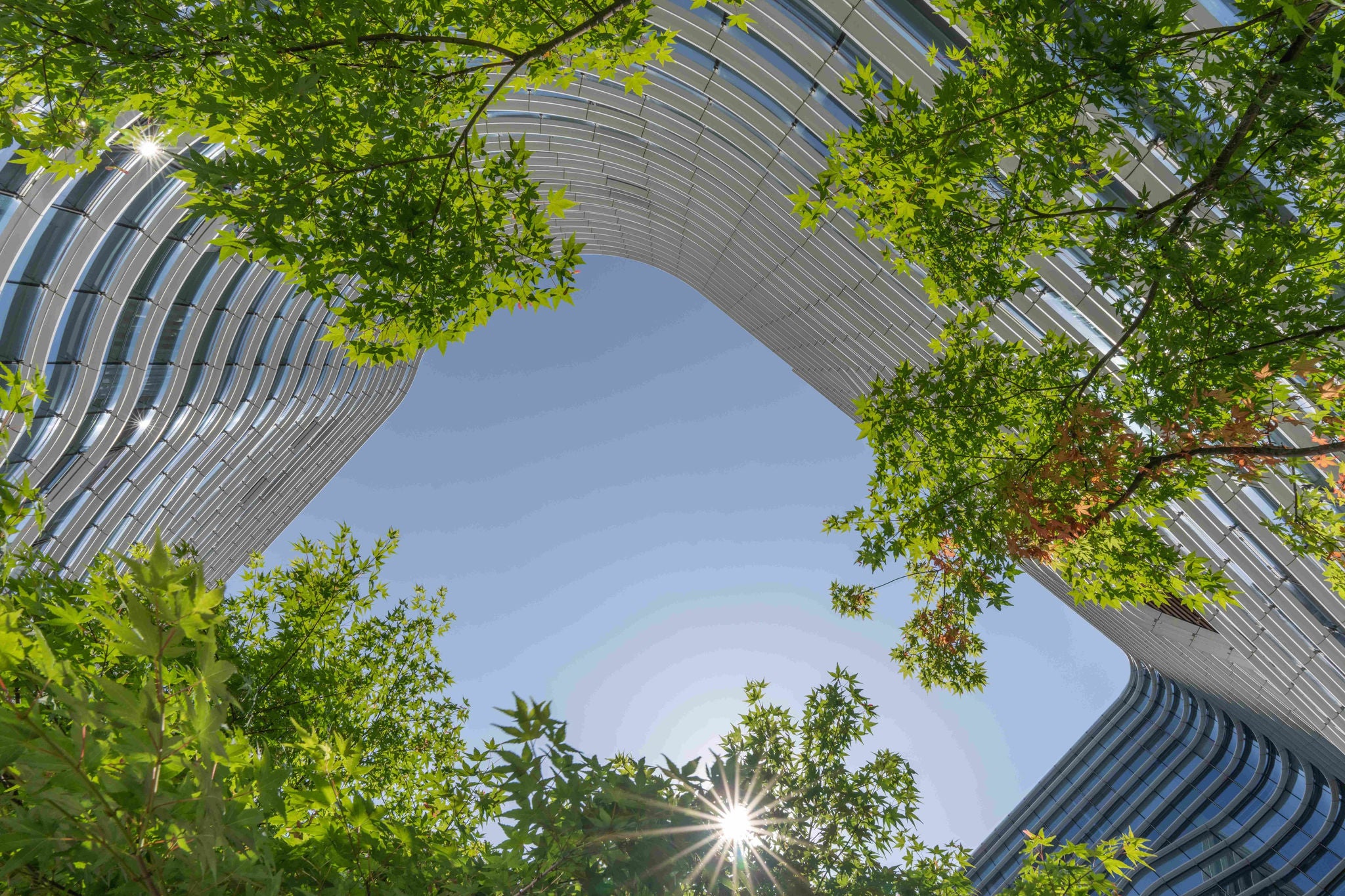 Niezbędnik MSSF: Zmiany w MSSF opublikowane na dzień 30 listopada 2025 roku