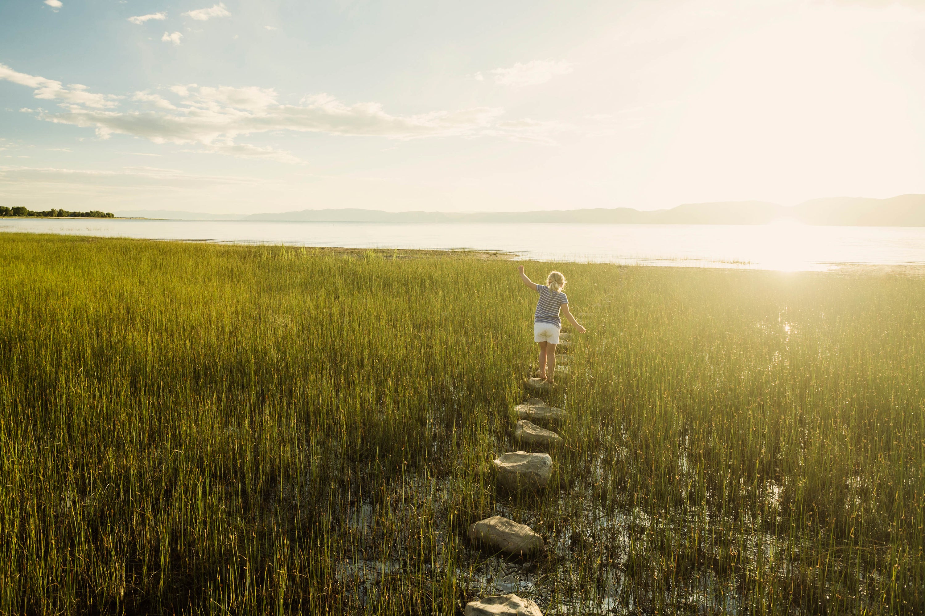 EY Environment Strategy: Action on climate and nature | EY - Global