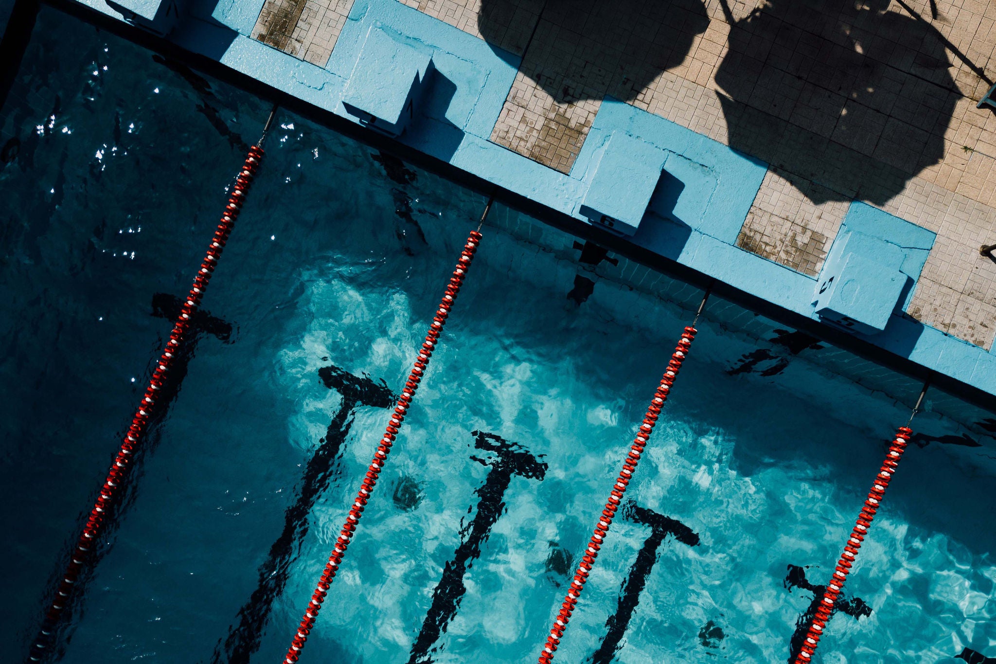 Empty swimming pool seen from above.