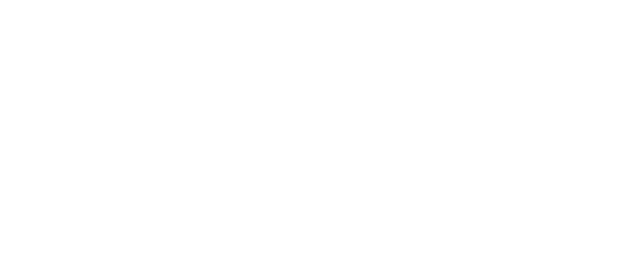 Big Picture logo