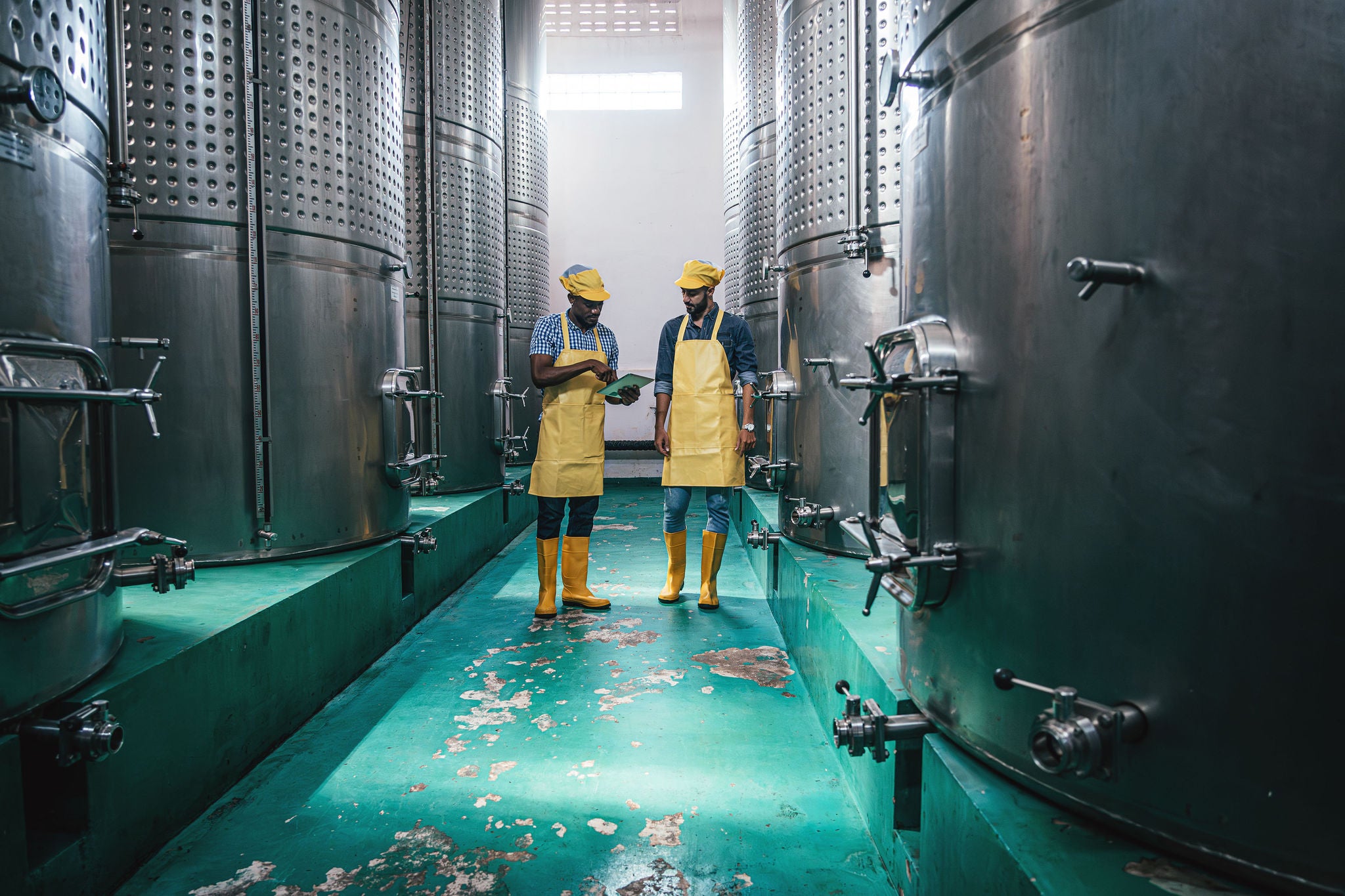 Two men working at a winery checking the quality of the wine
