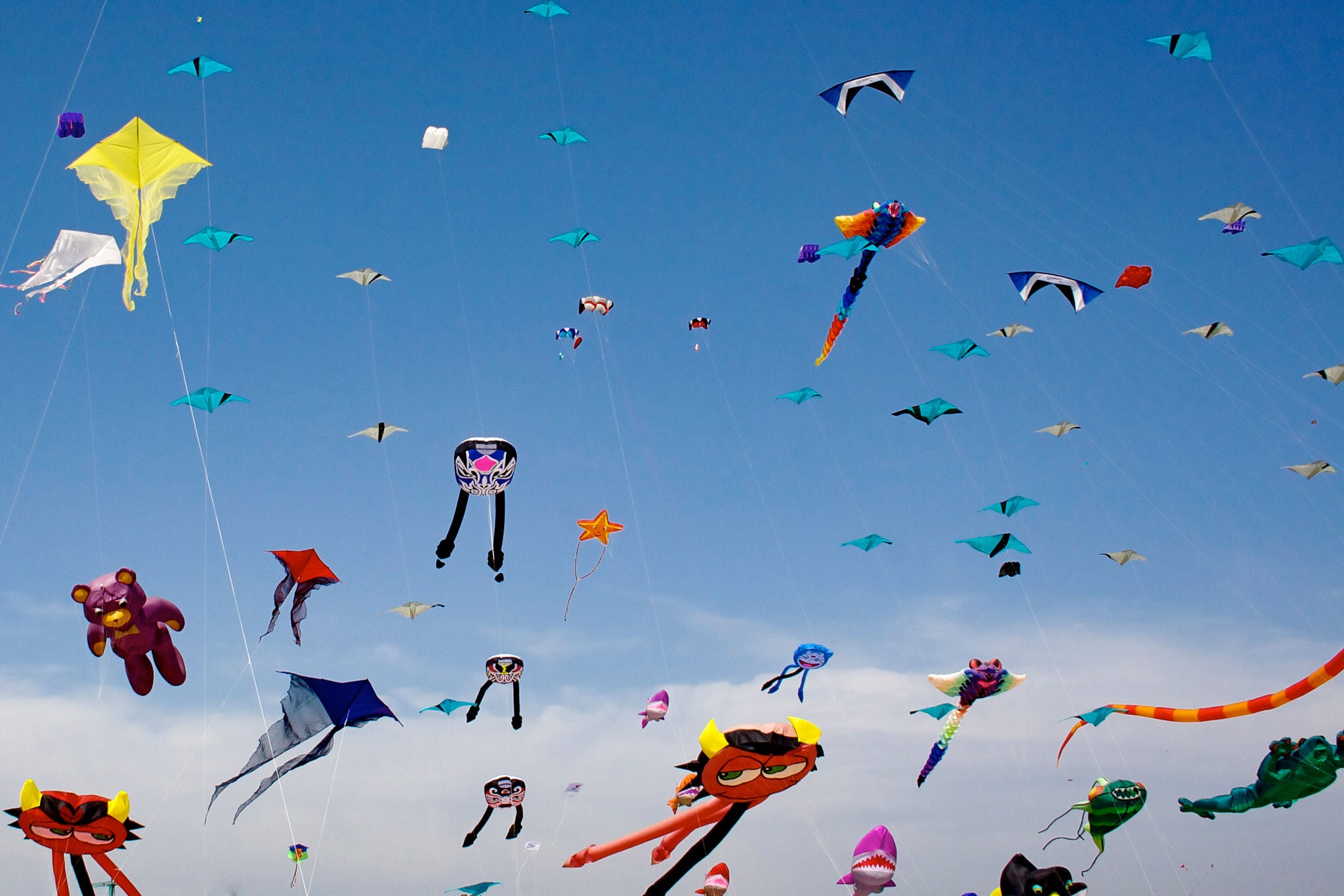 Kites in sky at festival.