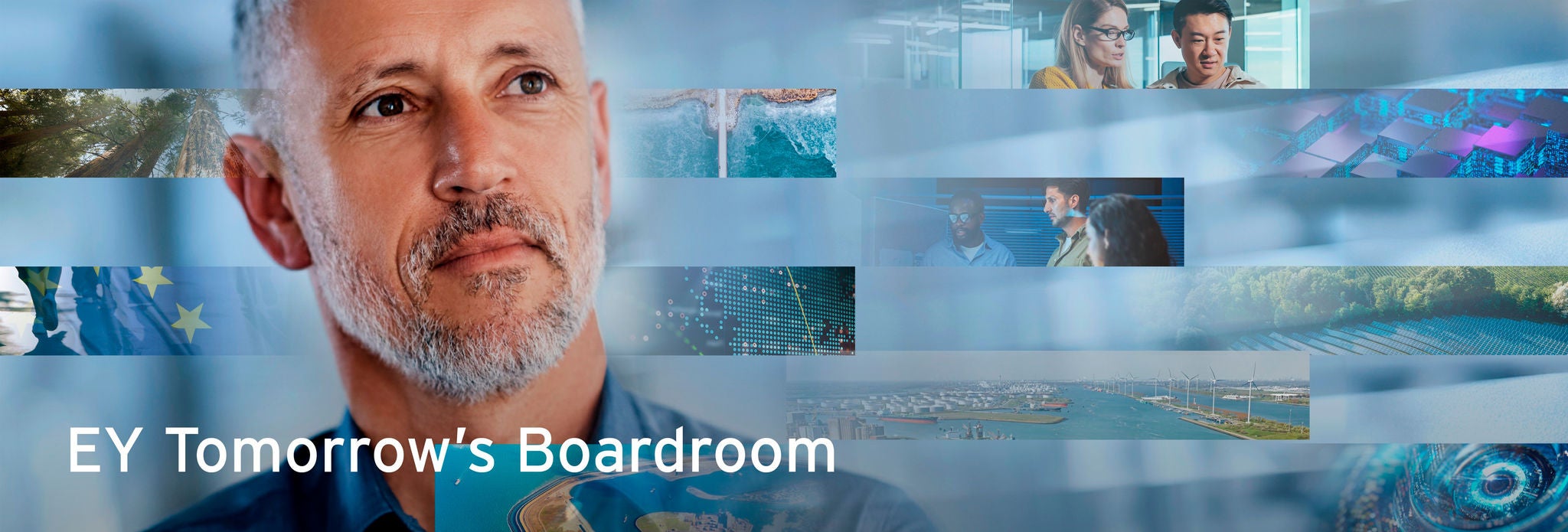 EY Boardroom program