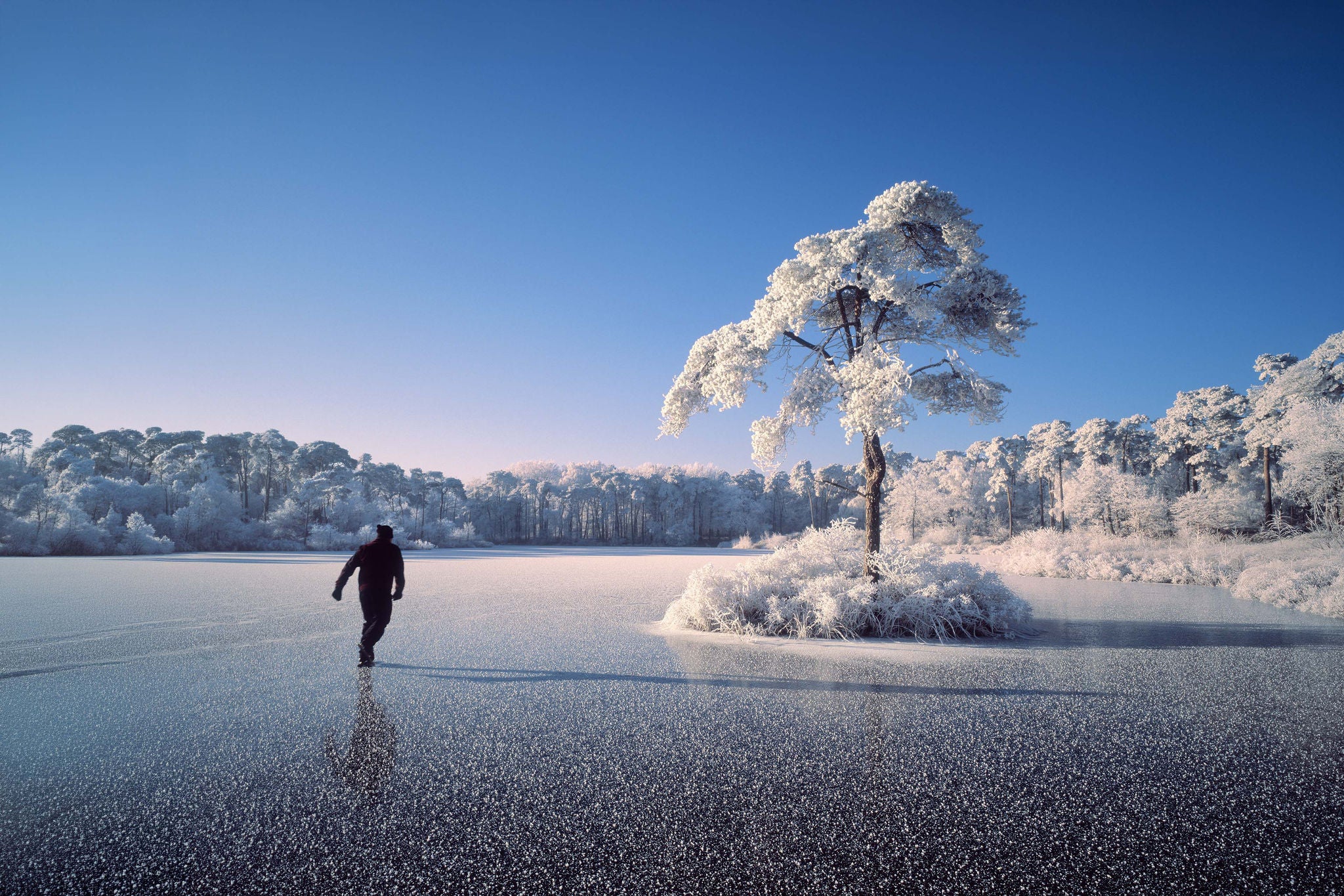 Beautifull sunny morning with man skating on frozen lake in a hoarfrost covered forest.