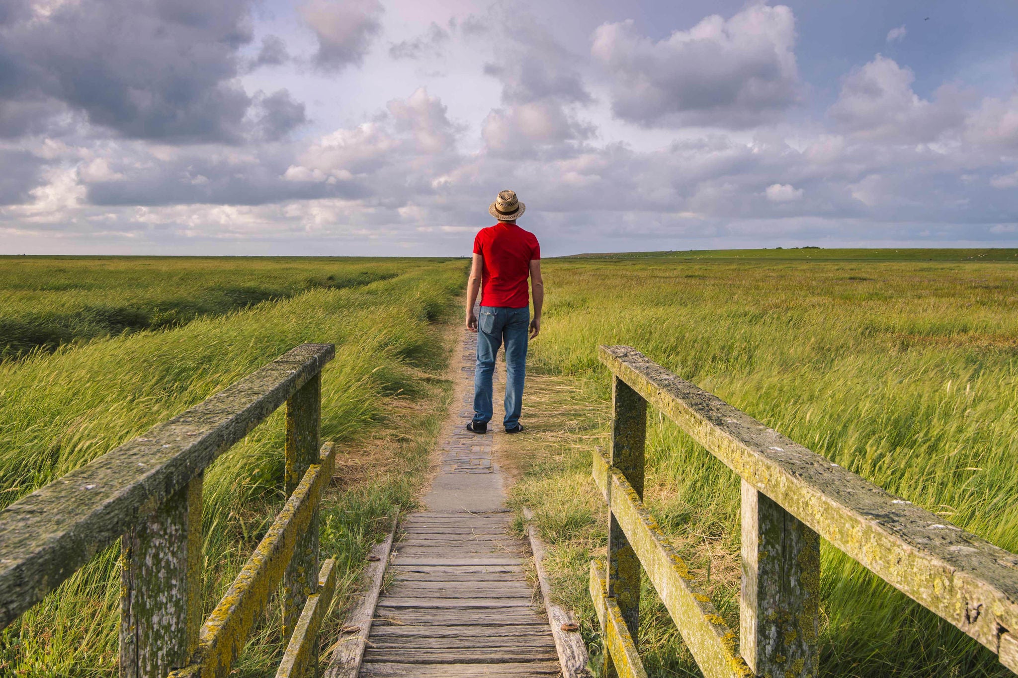 Westerhever Eiderstedt, North Frisia Schleswig-Holstein, Germany  Man admiring the view from a walkway along the meadows