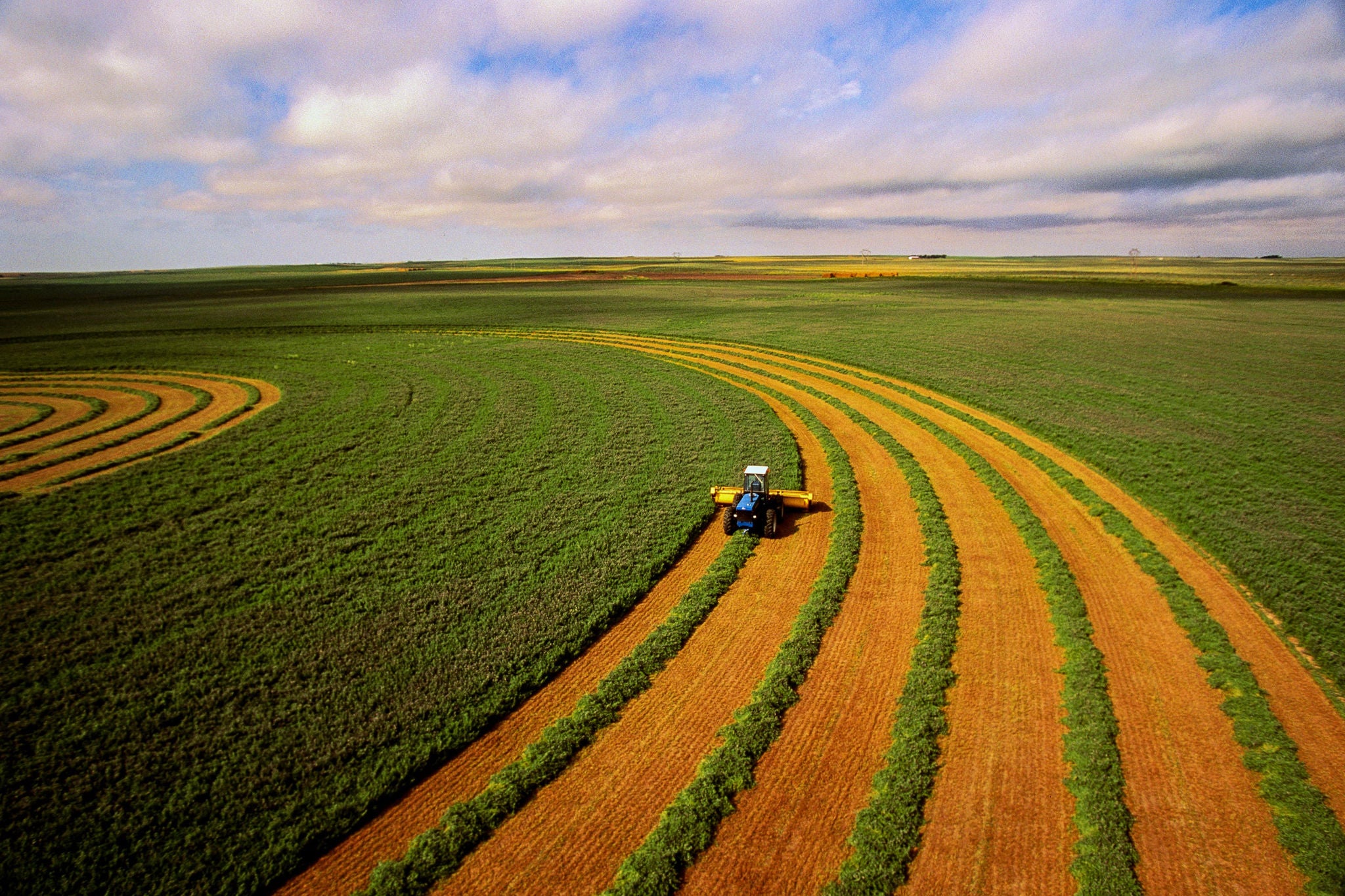 Aerial view of harvesting alfalfa crop using tractor