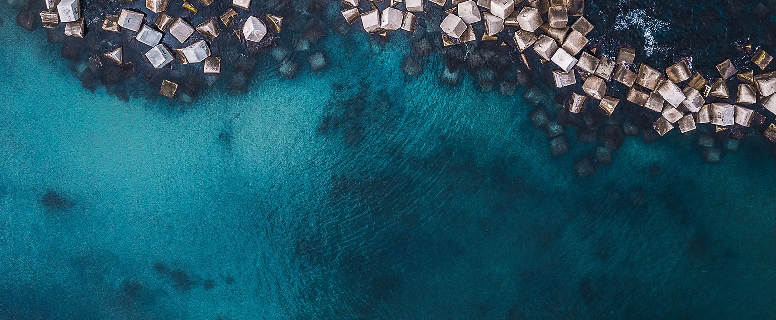 The Caribbean lens hero image