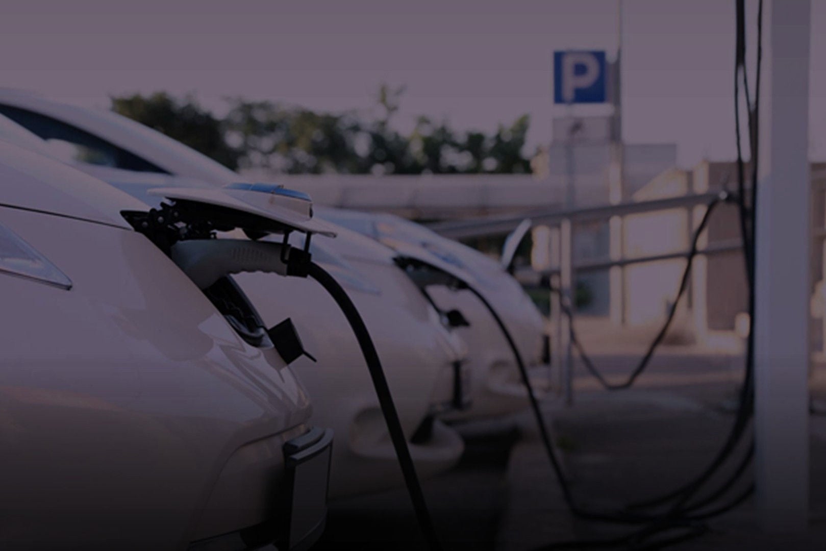 ey-kr-how-should-korean-companies-respond-to-the-rise-of-chinas-ev-industry-hero
