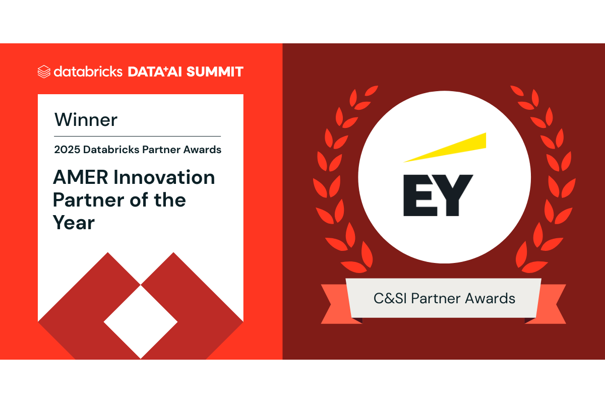 Amer Innovation Partner of the Year Award