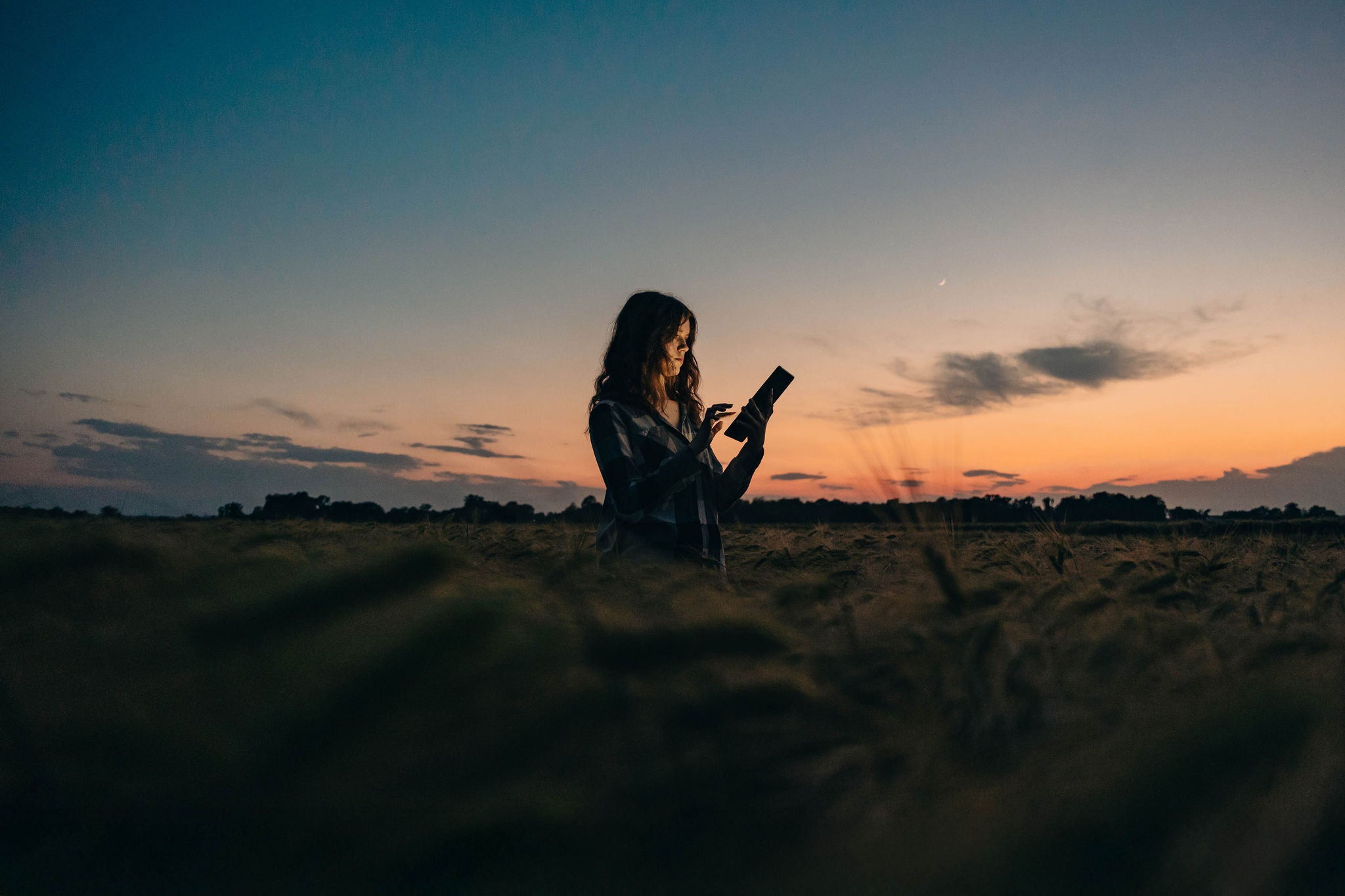 Beautiful young female farmer using digital tablet while examining wheat crop in cultivated field during dusk