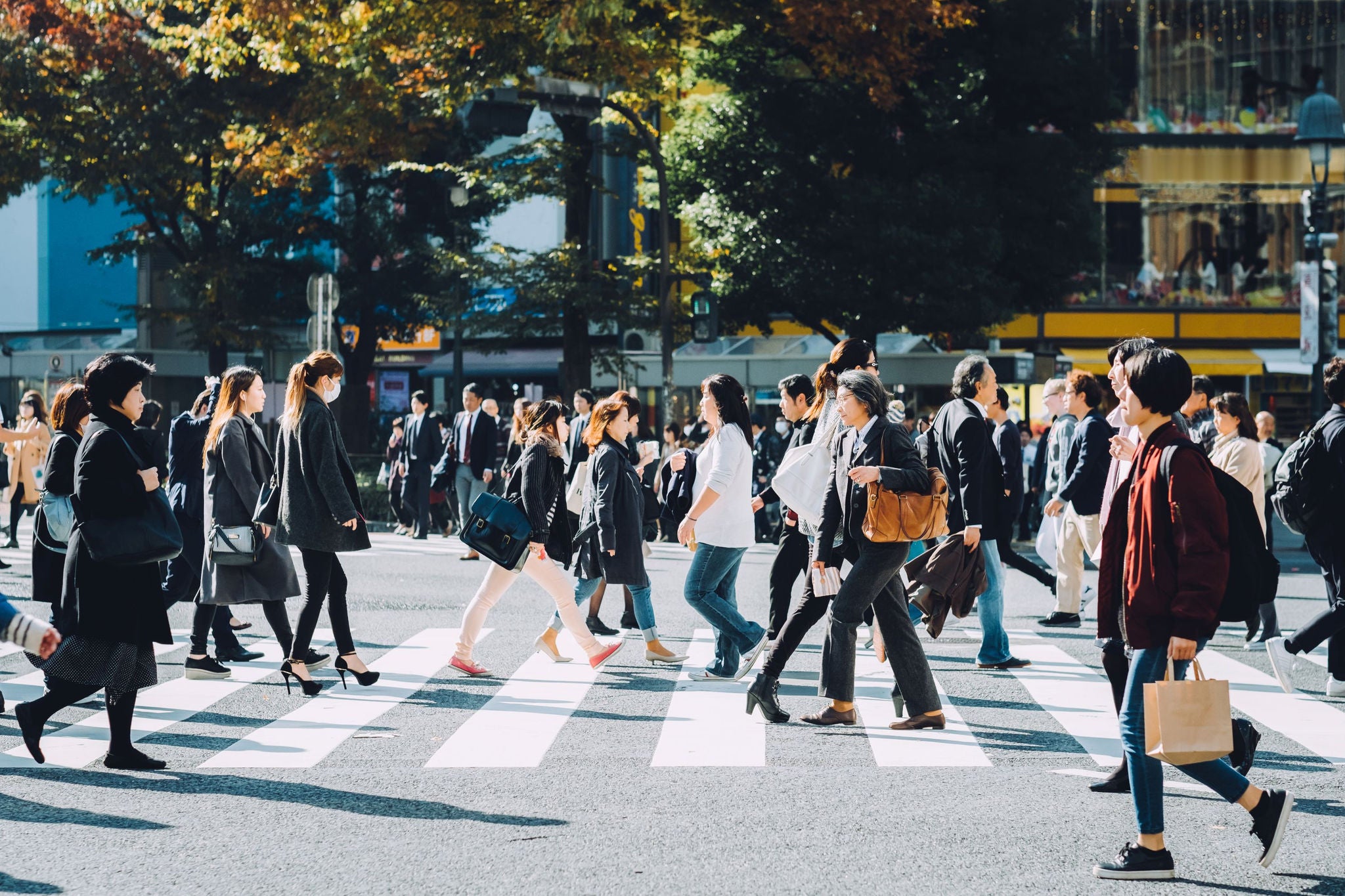 People crossing street on a zebra.