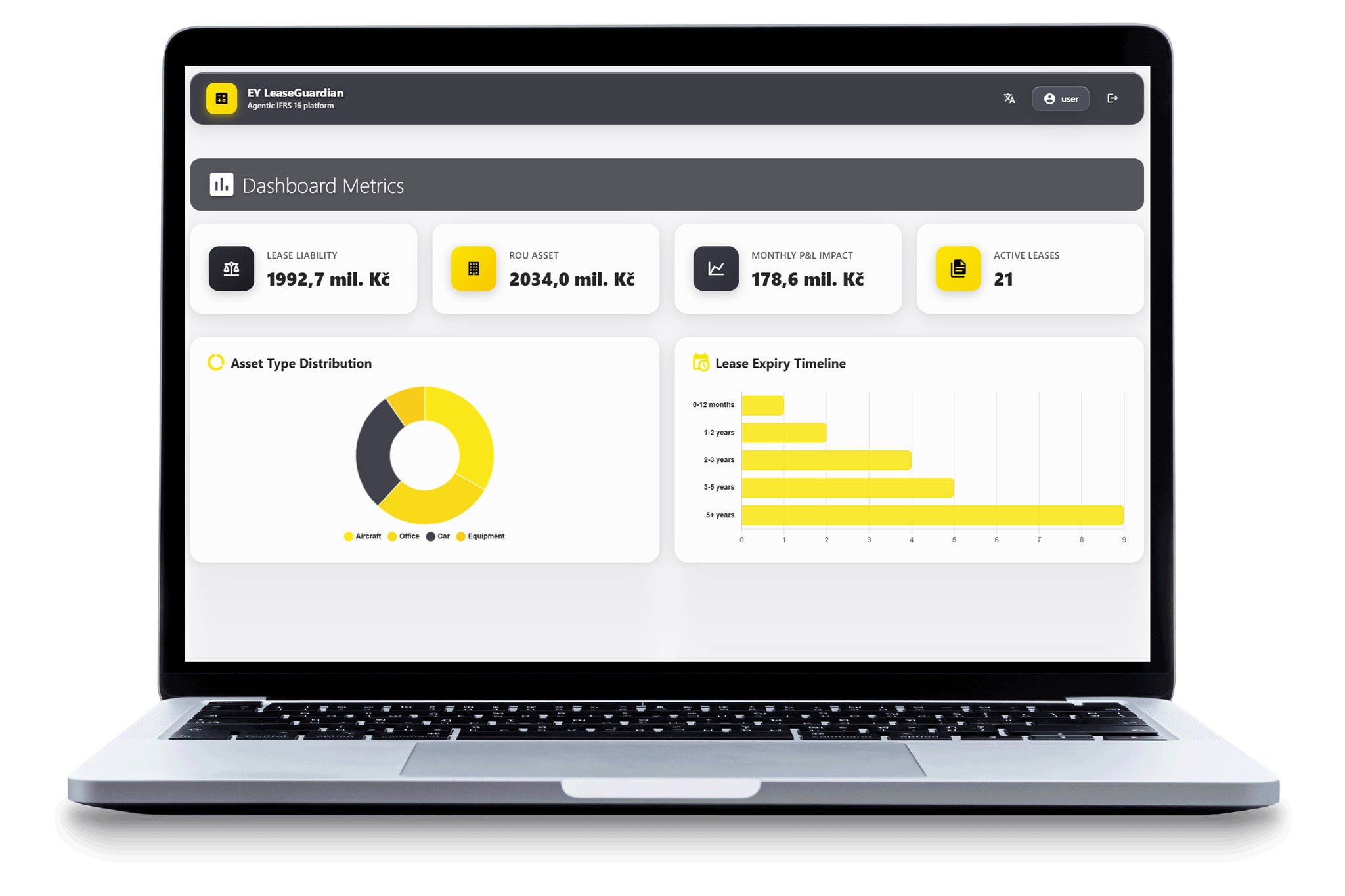 EY assess maturity model assessment overview