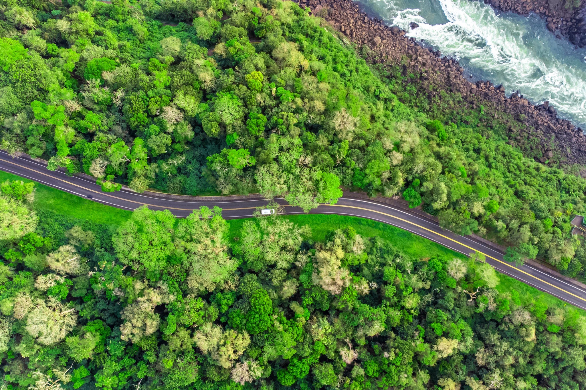 Aerial top view of a highway beside a river in Iguaçu National Park, Parana, Brazil