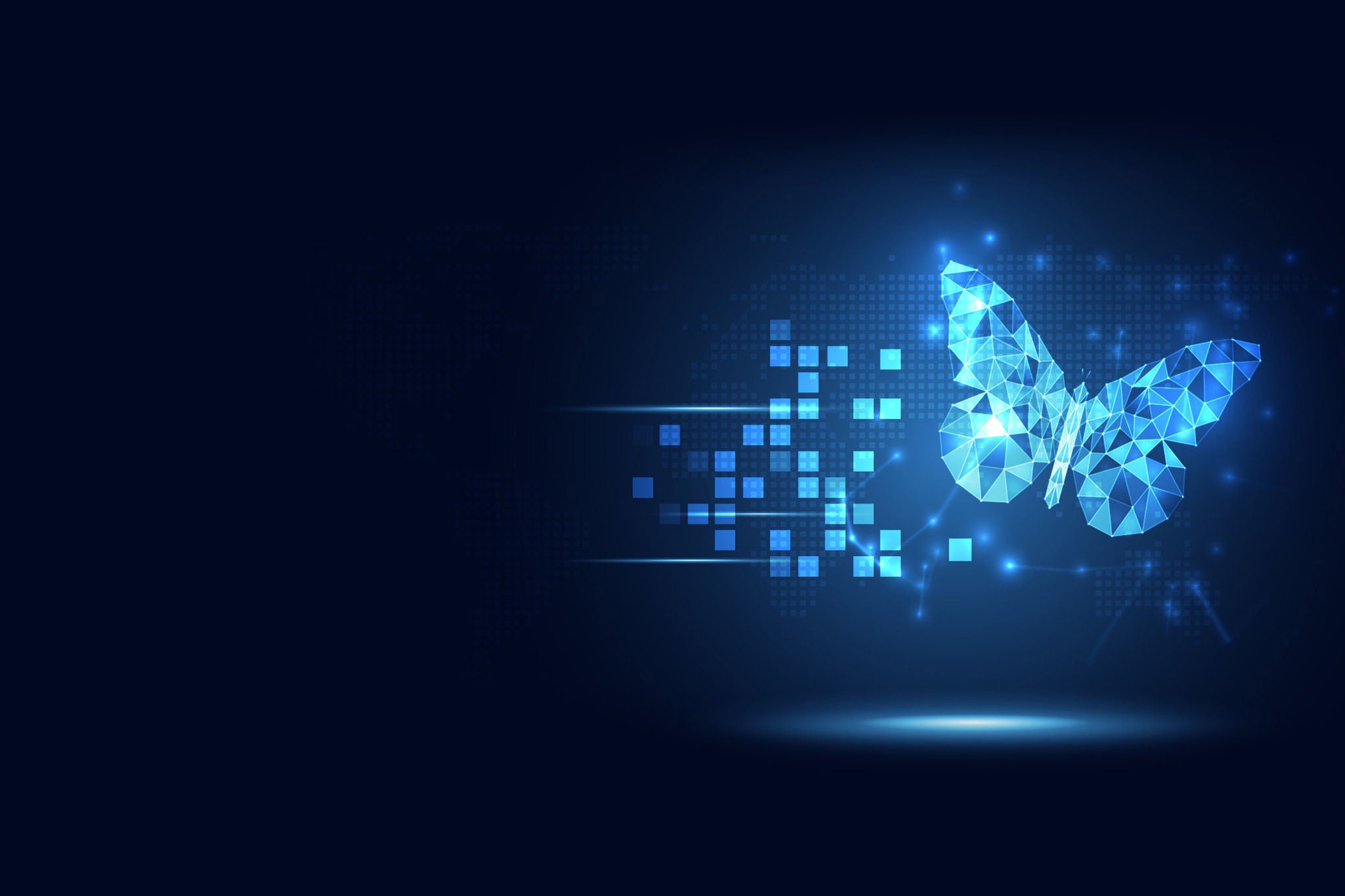 Butterfly growth evolution