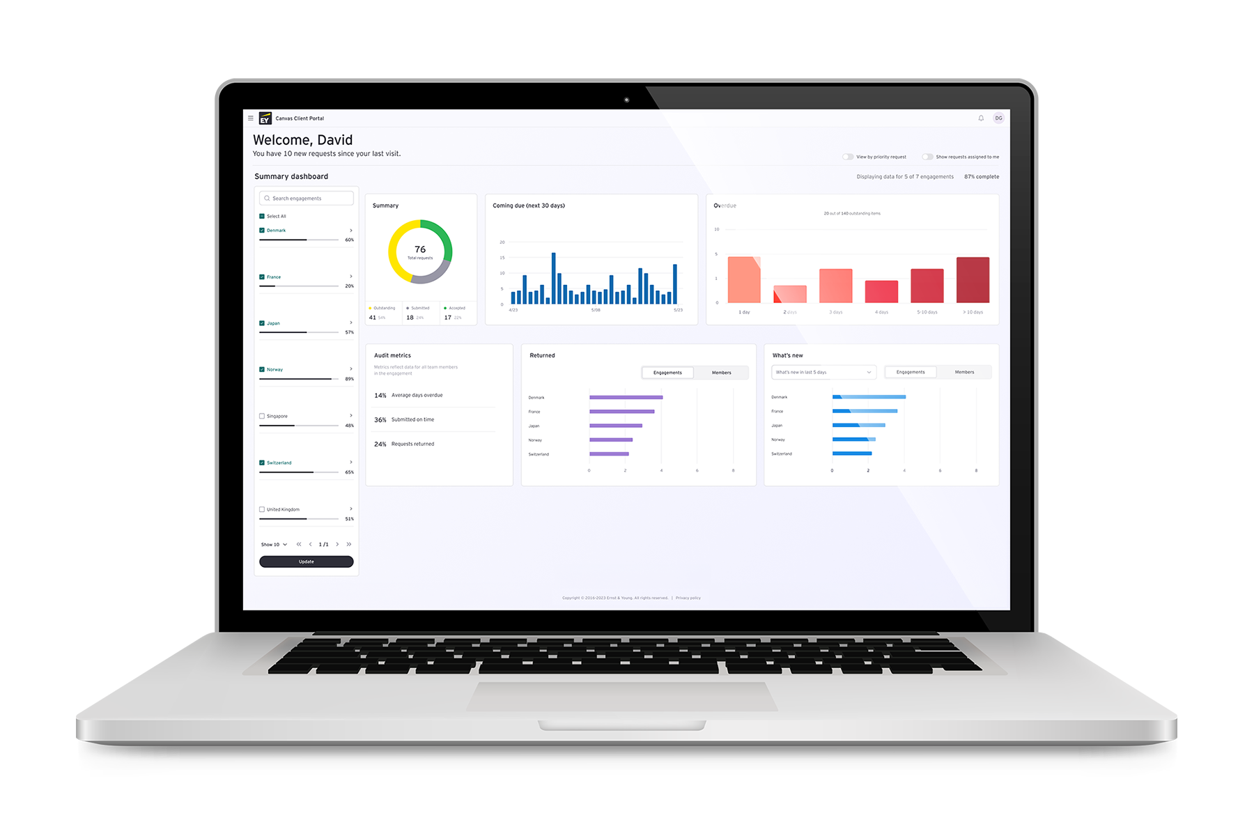 EY Canvas client portal
